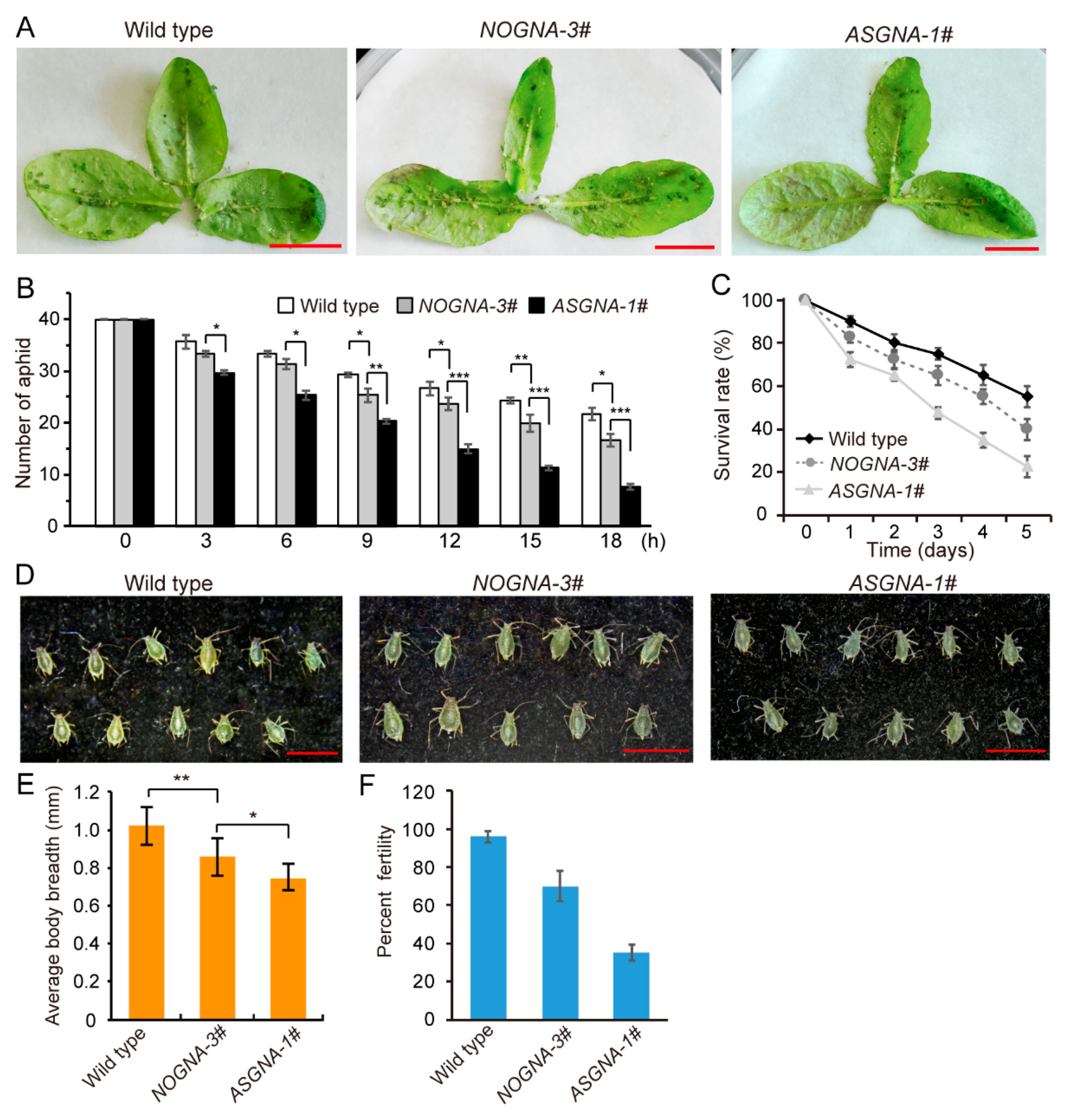 Genes 13 01169 g003 Genes 13 01169 g003