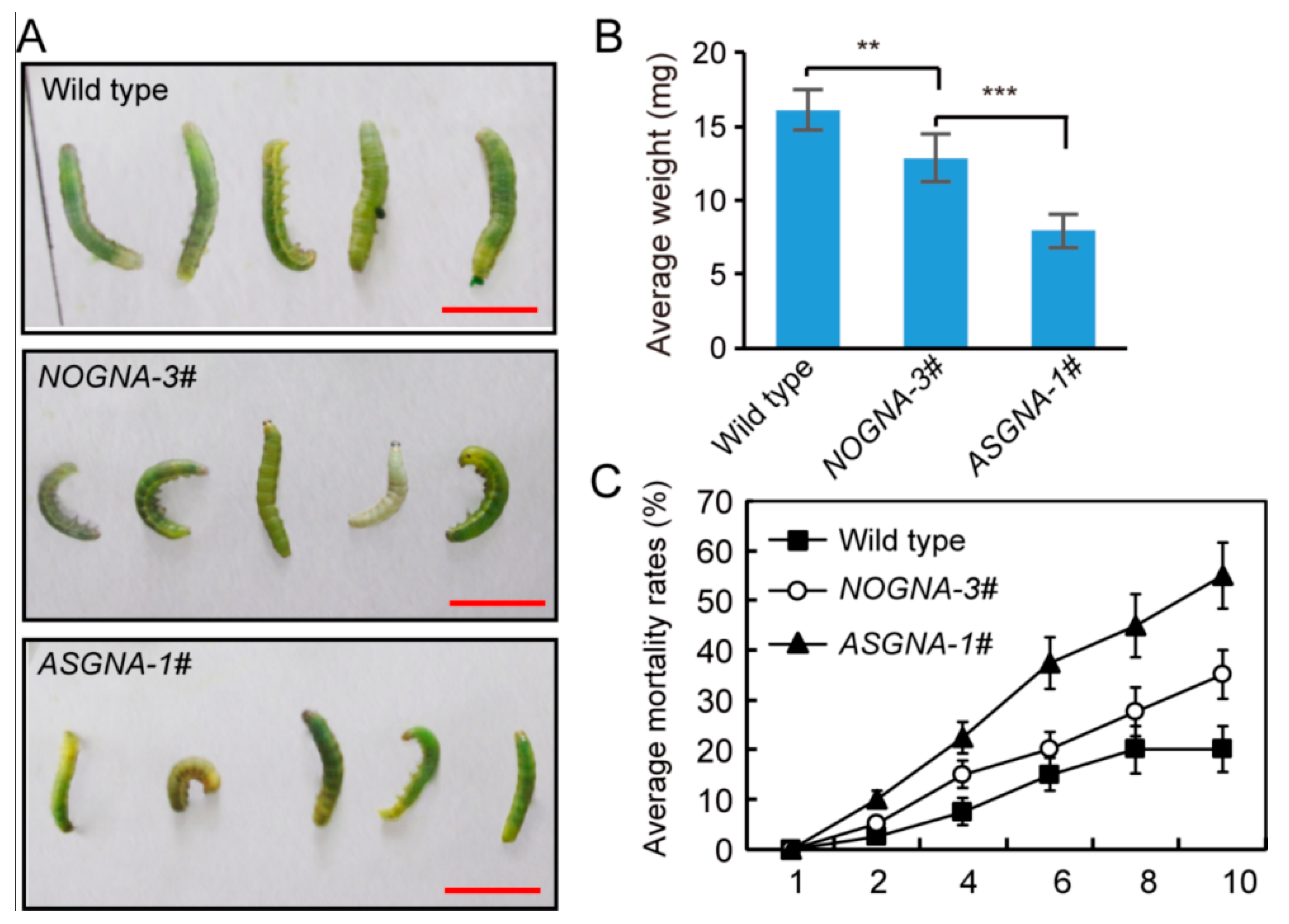 Genes 13 01169 g004 Genes 13 01169 g004