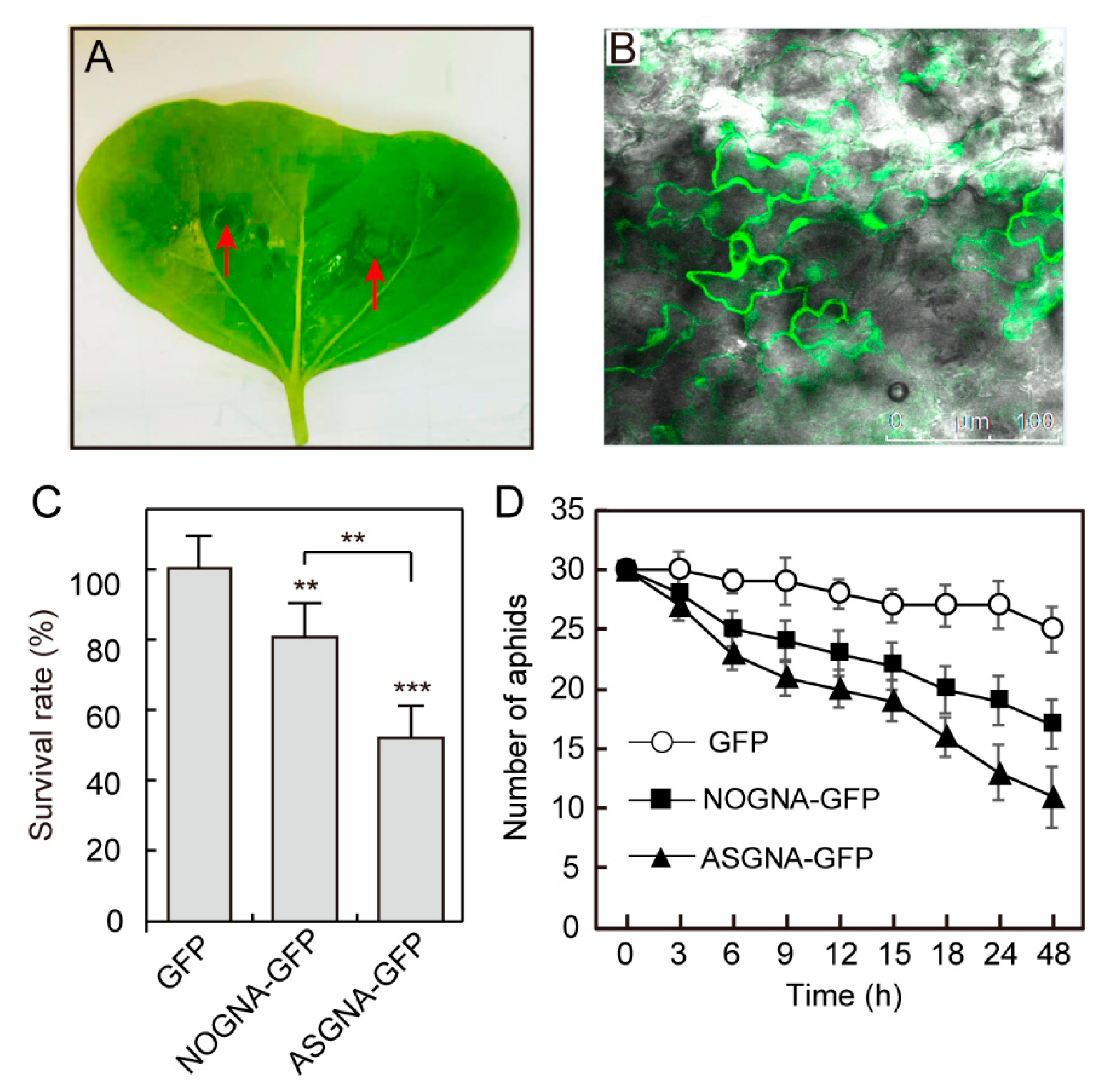 Genes 13 01169 g005 Genes 13 01169 g005