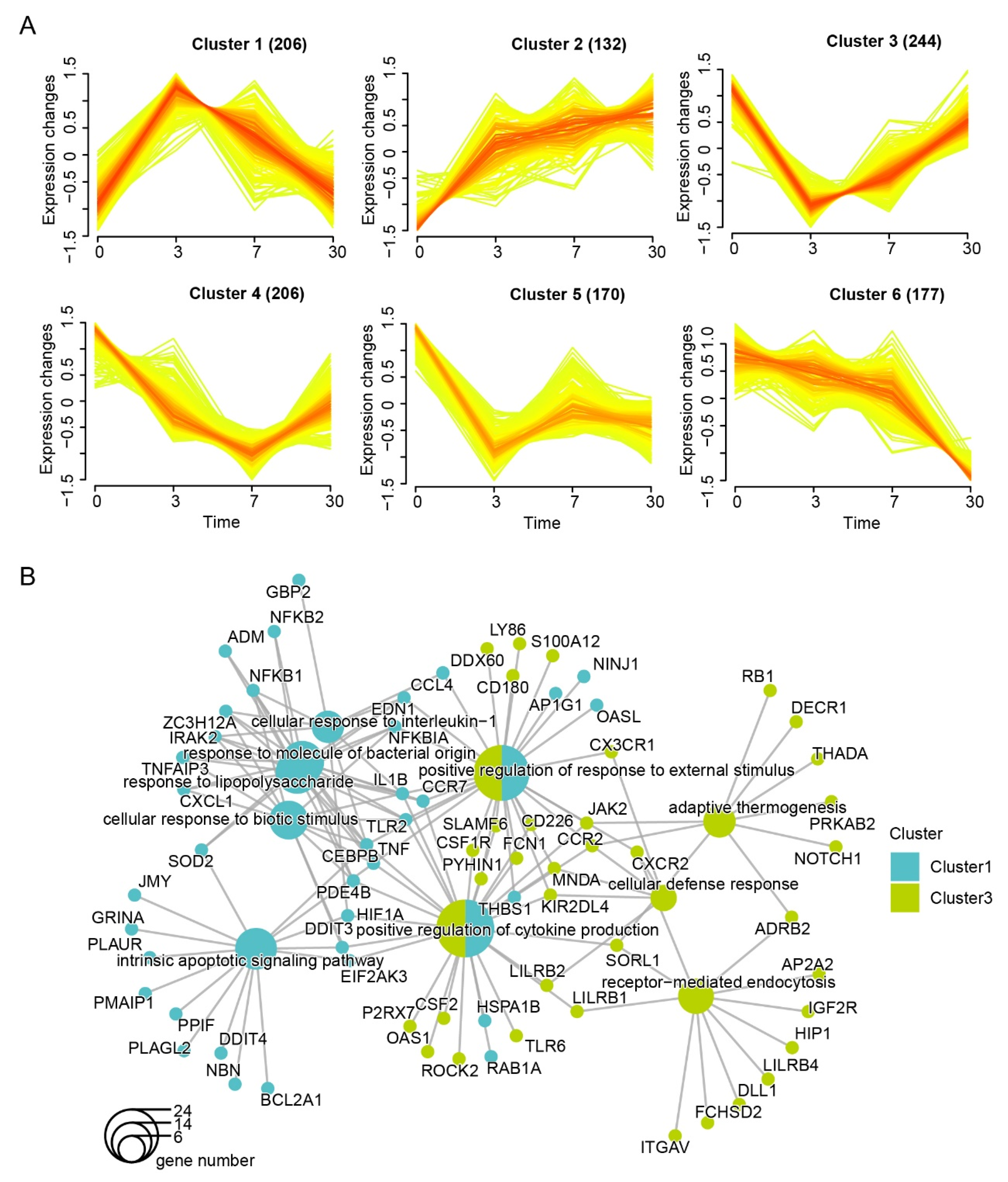Genes 13 01193 g002 Genes 13 01193 g002