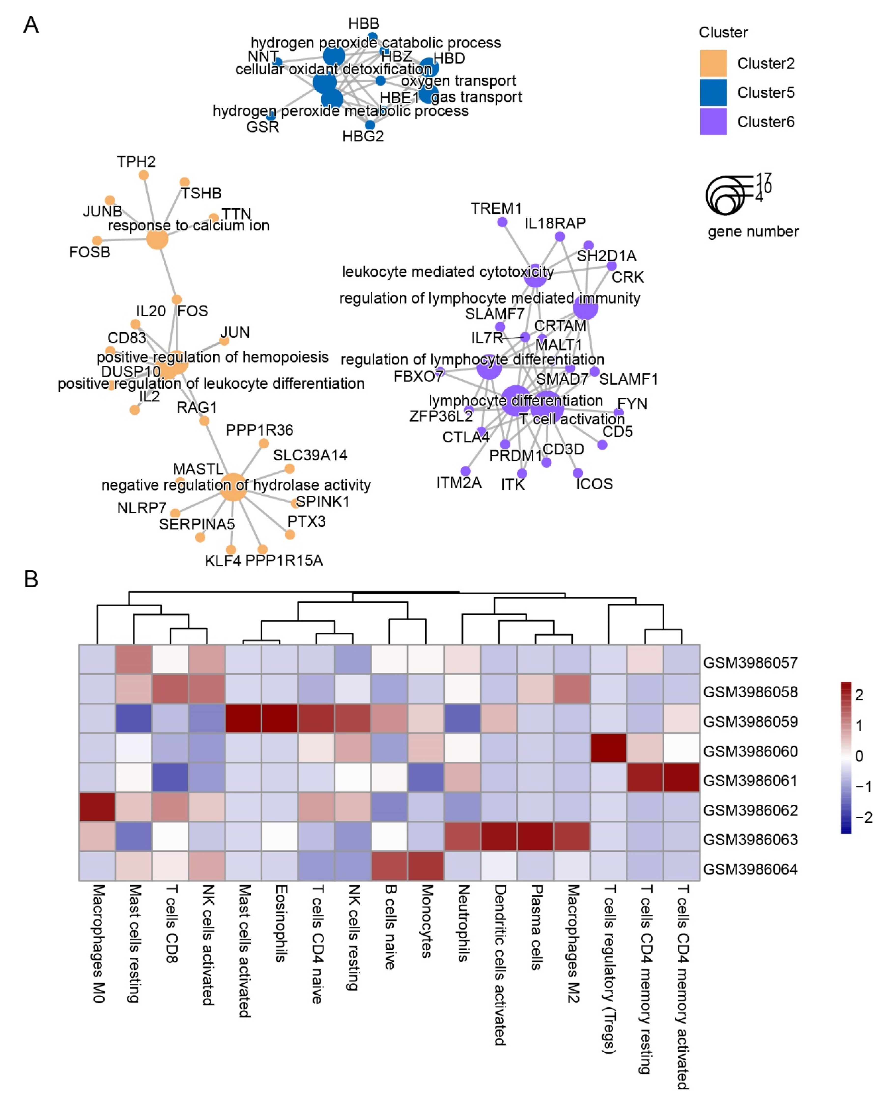 Genes 13 01193 g003 Genes 13 01193 g003