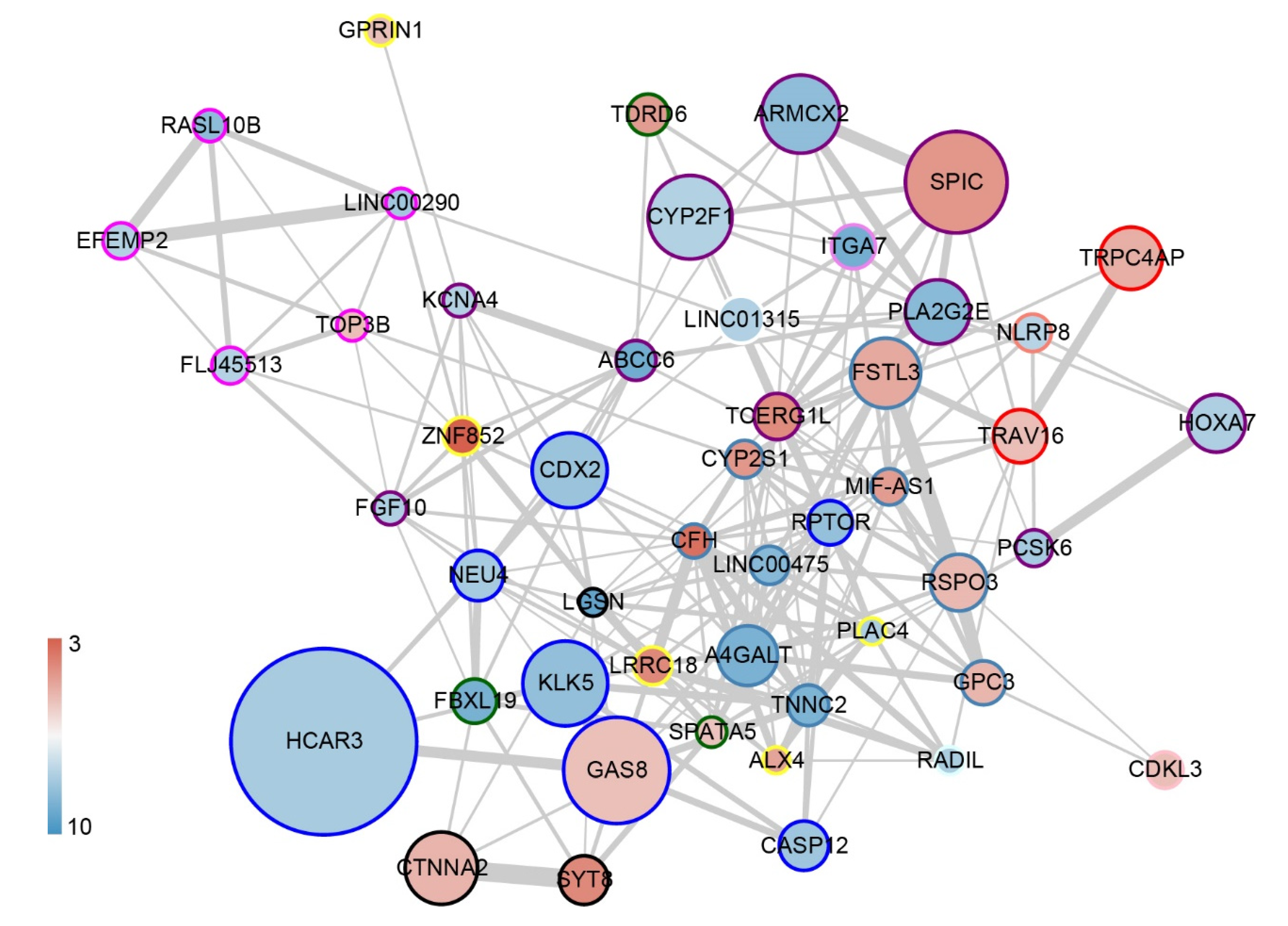 Genes 13 01193 g006 Genes 13 01193 g006