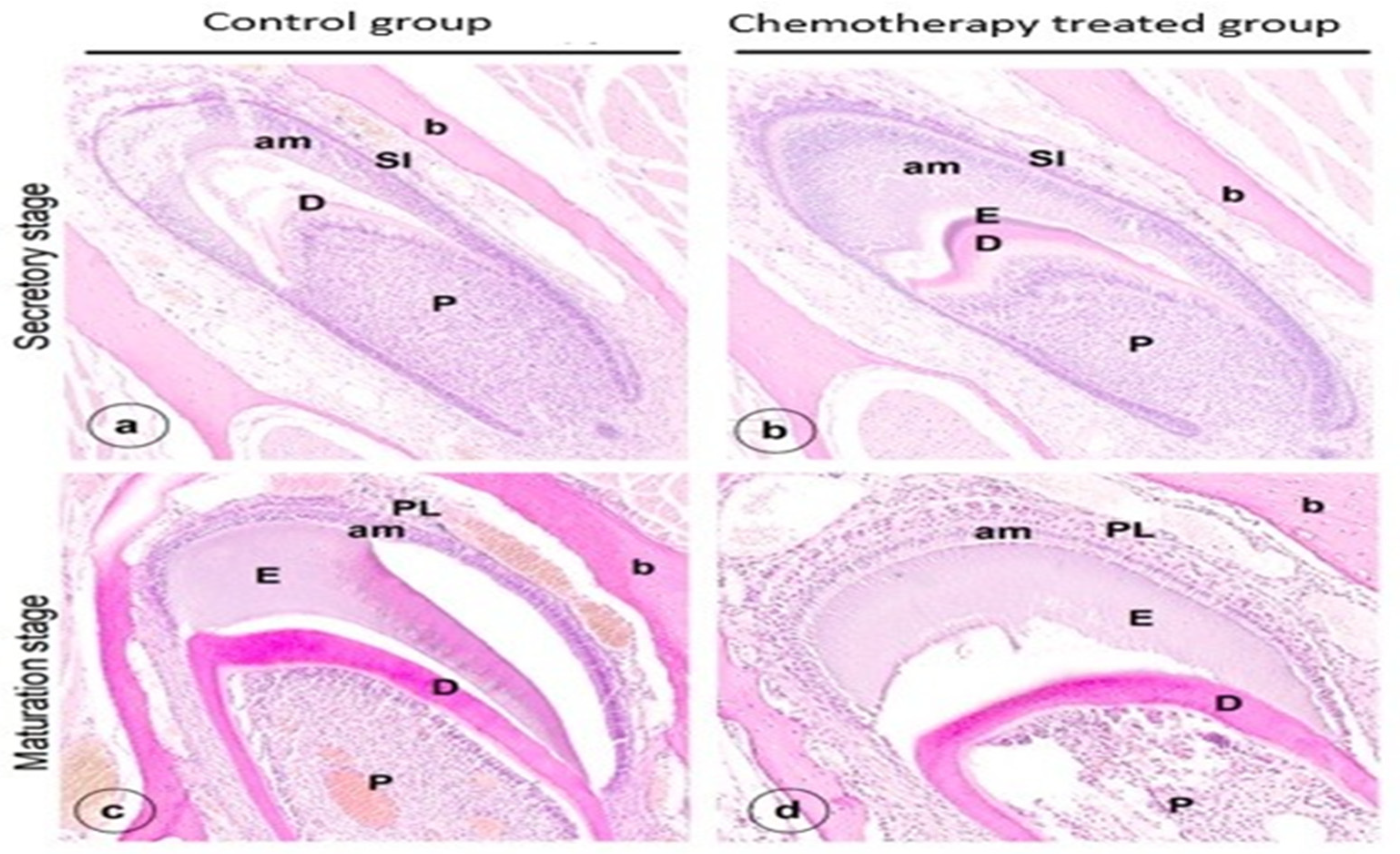 Genes 13 01198 g001 Genes 13 01198 g001