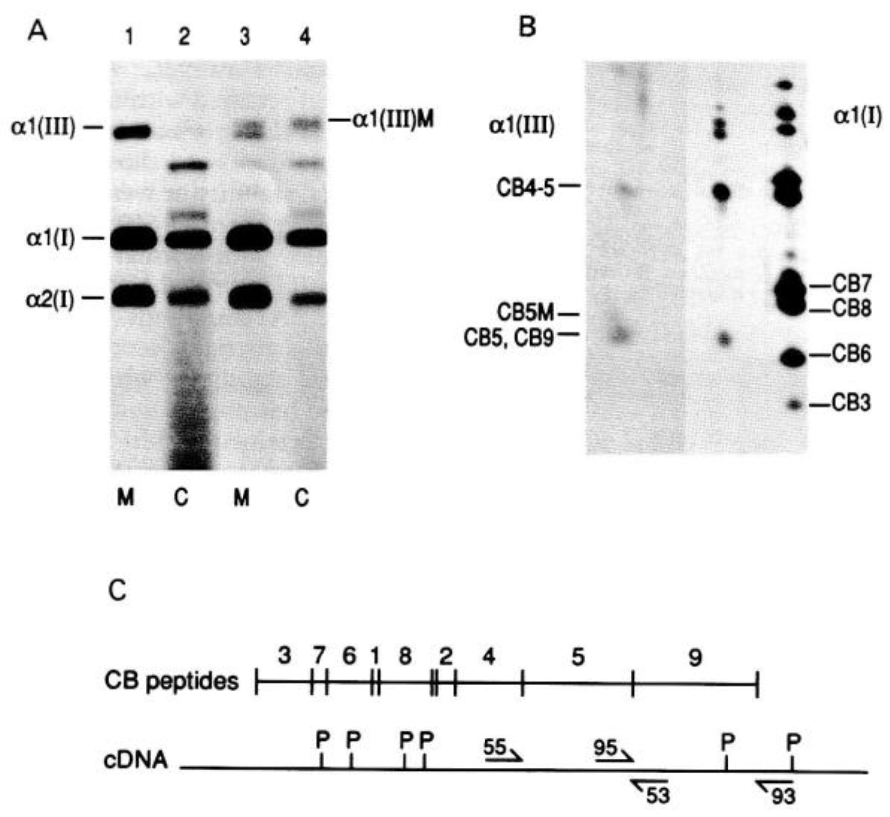 Genes 13 01199 g002 Genes 13 01199 g002