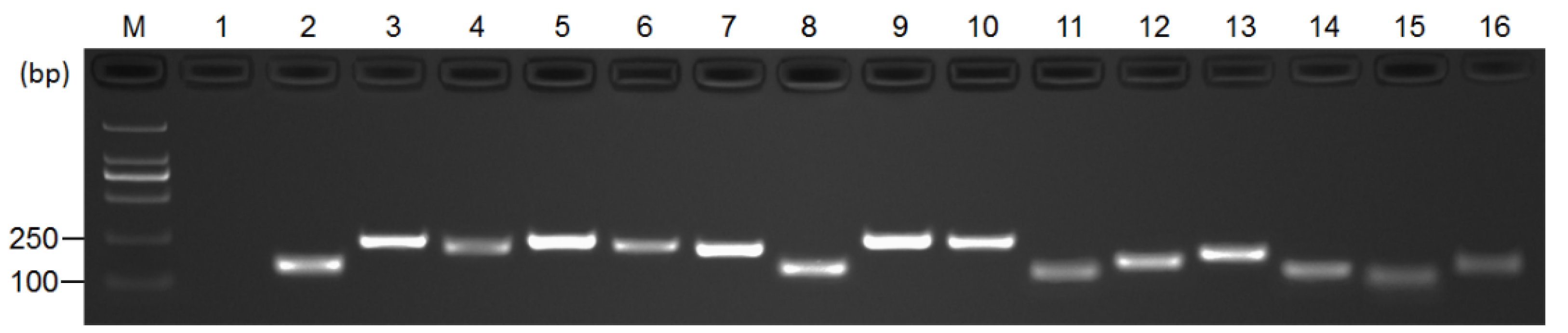 Genes 13 01227 g001