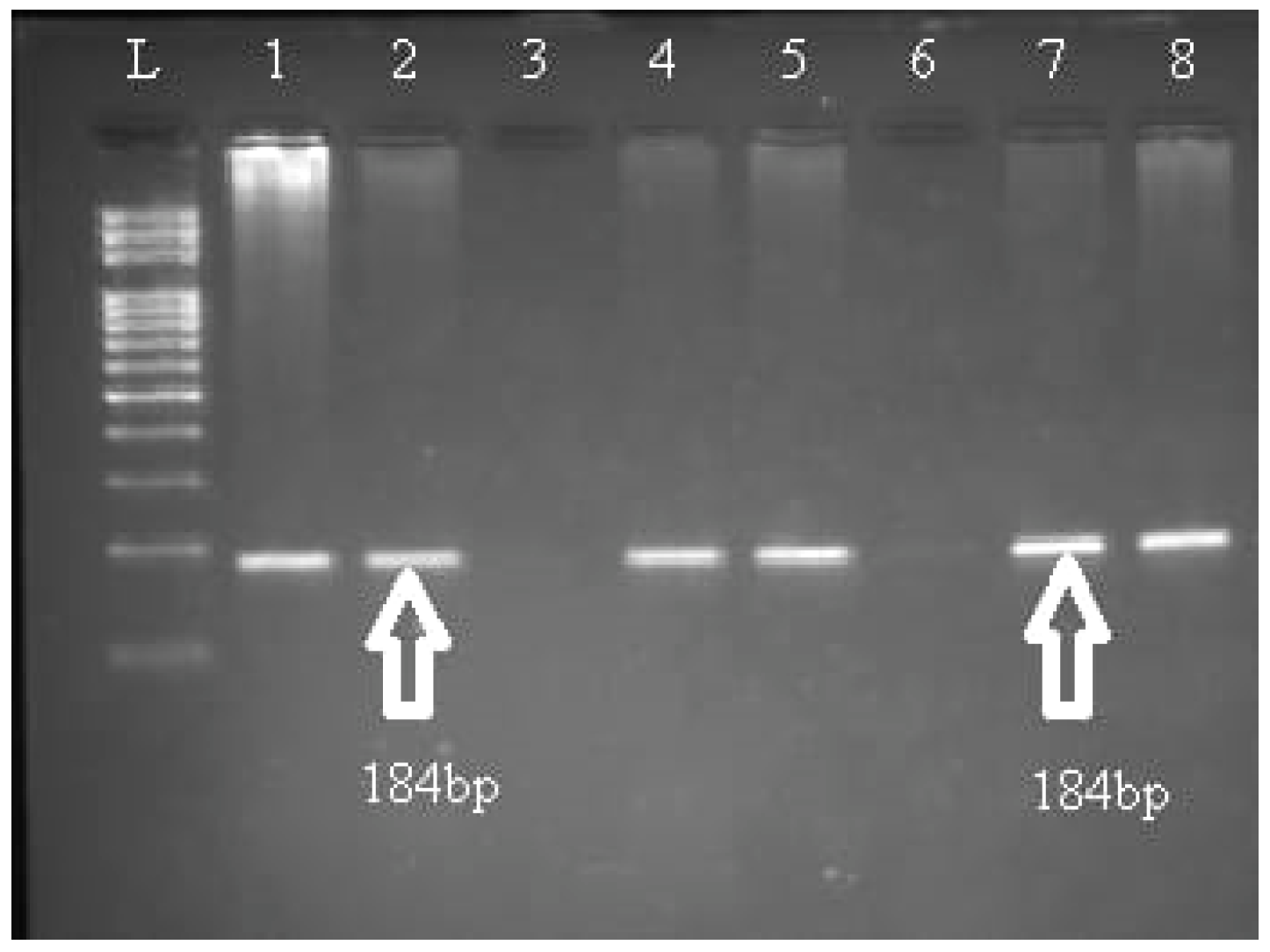 Genes 13 01237 g001