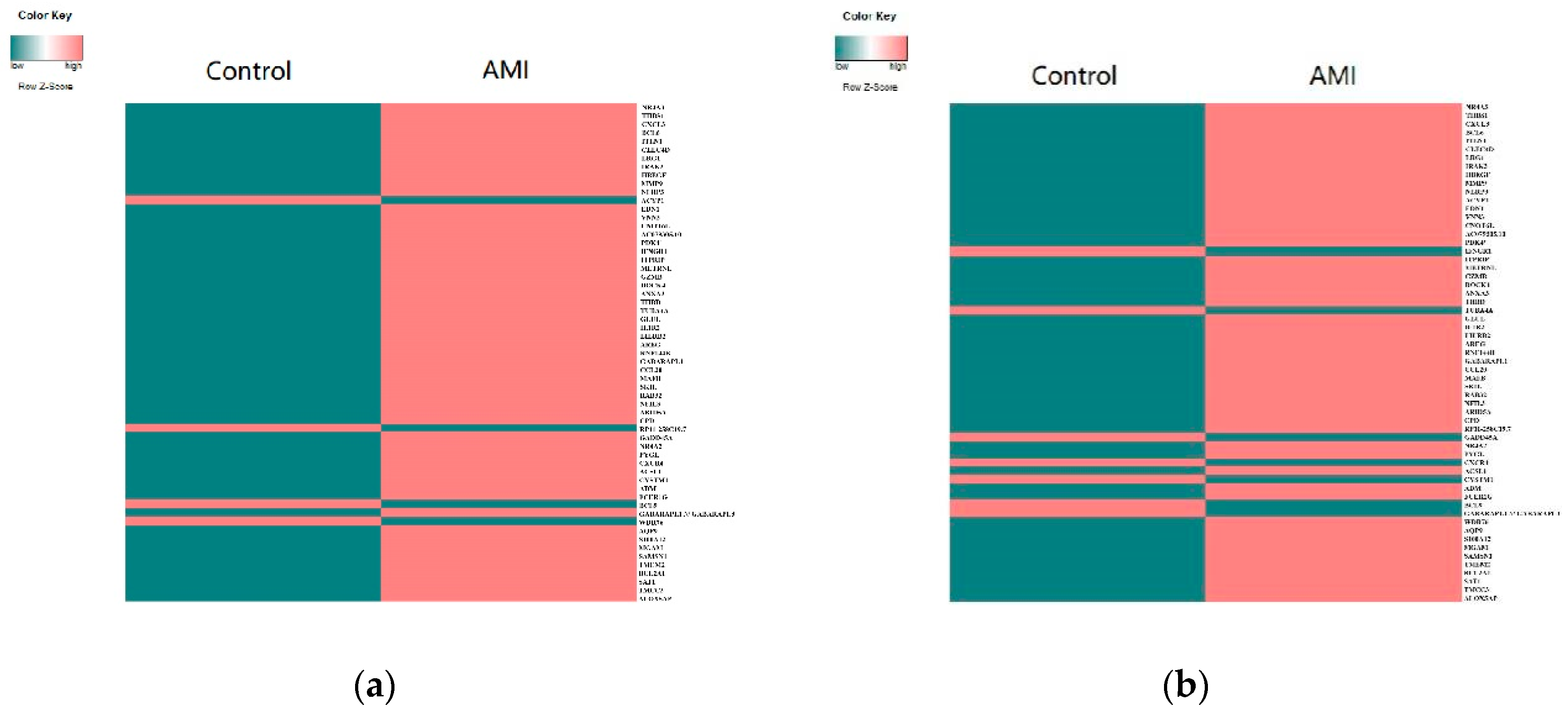 Genes 13 01238 g003a Genes 13 01238 g003a