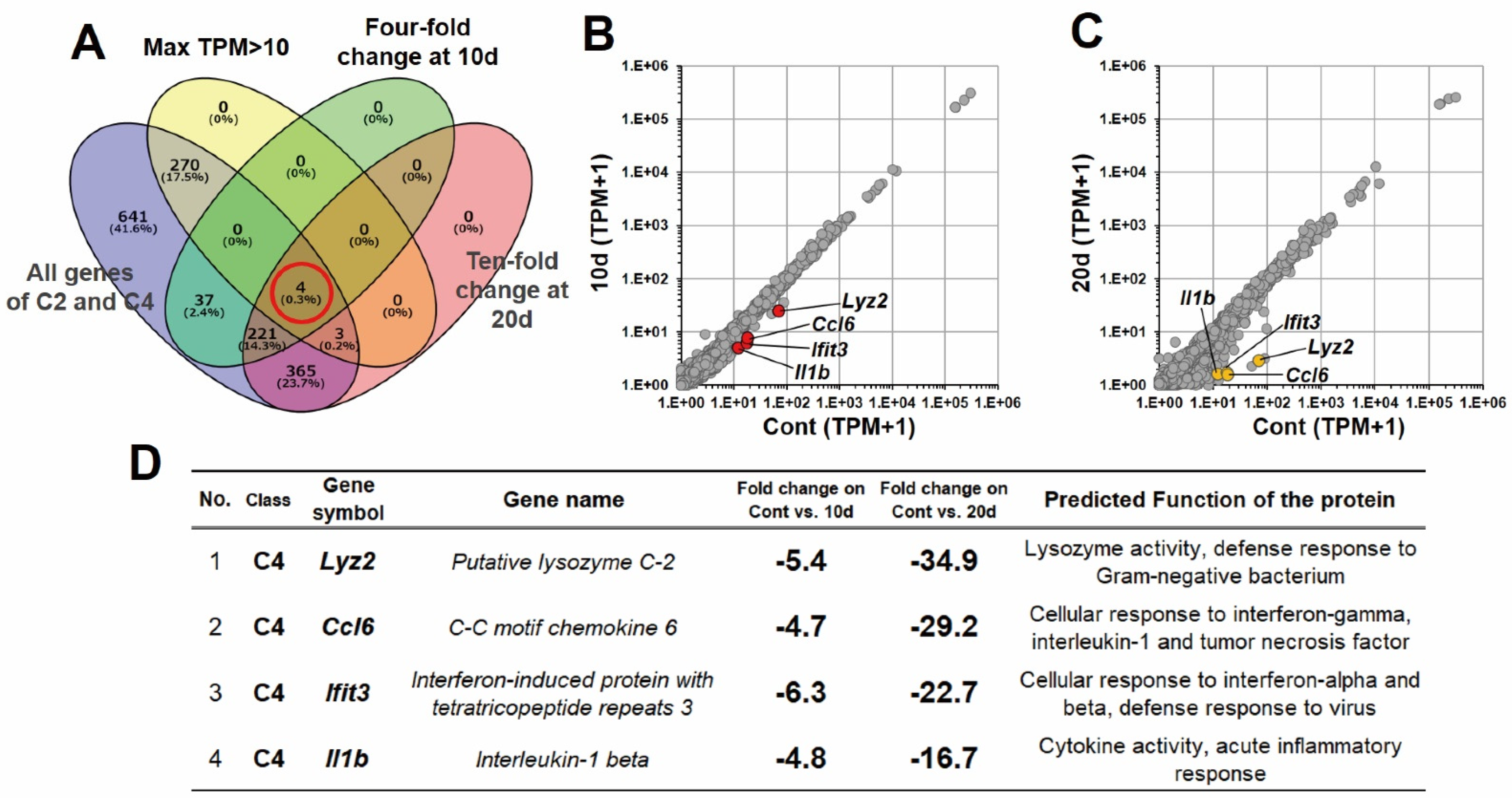 Genes 13 01255 g004