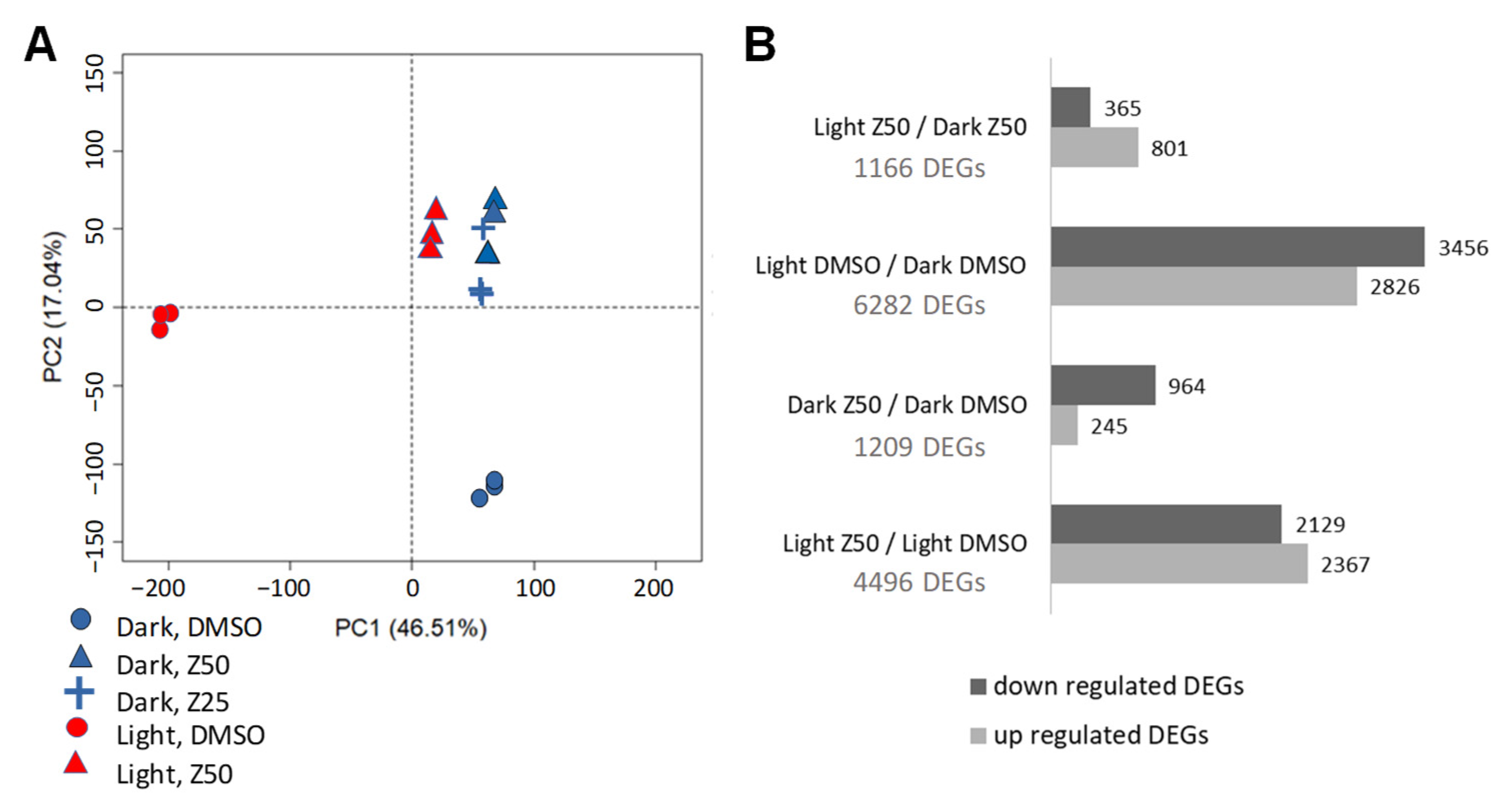 Genes 13 01256 g005