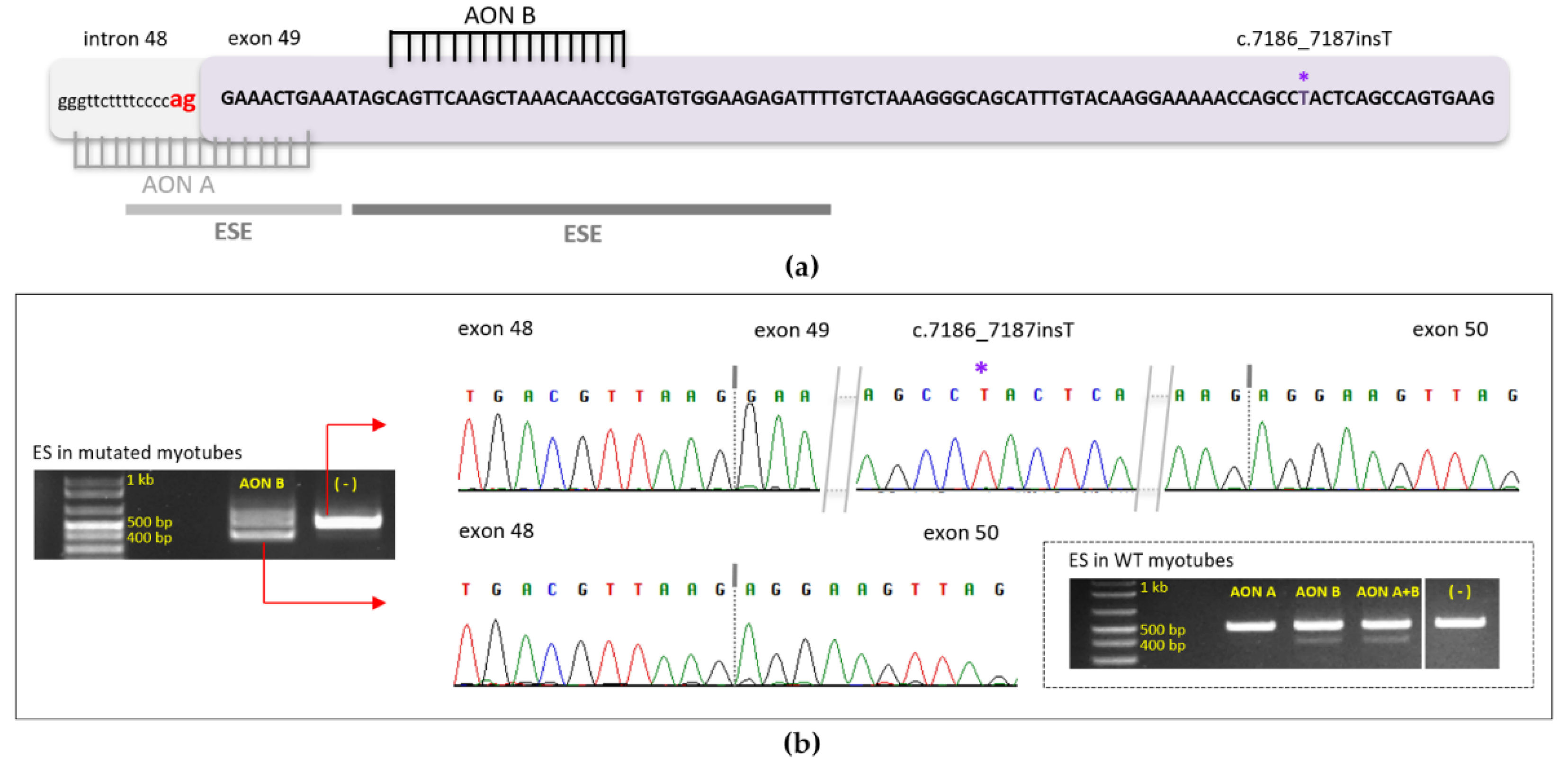 Genes 13 01277 g003 Genes 13 01277 g003