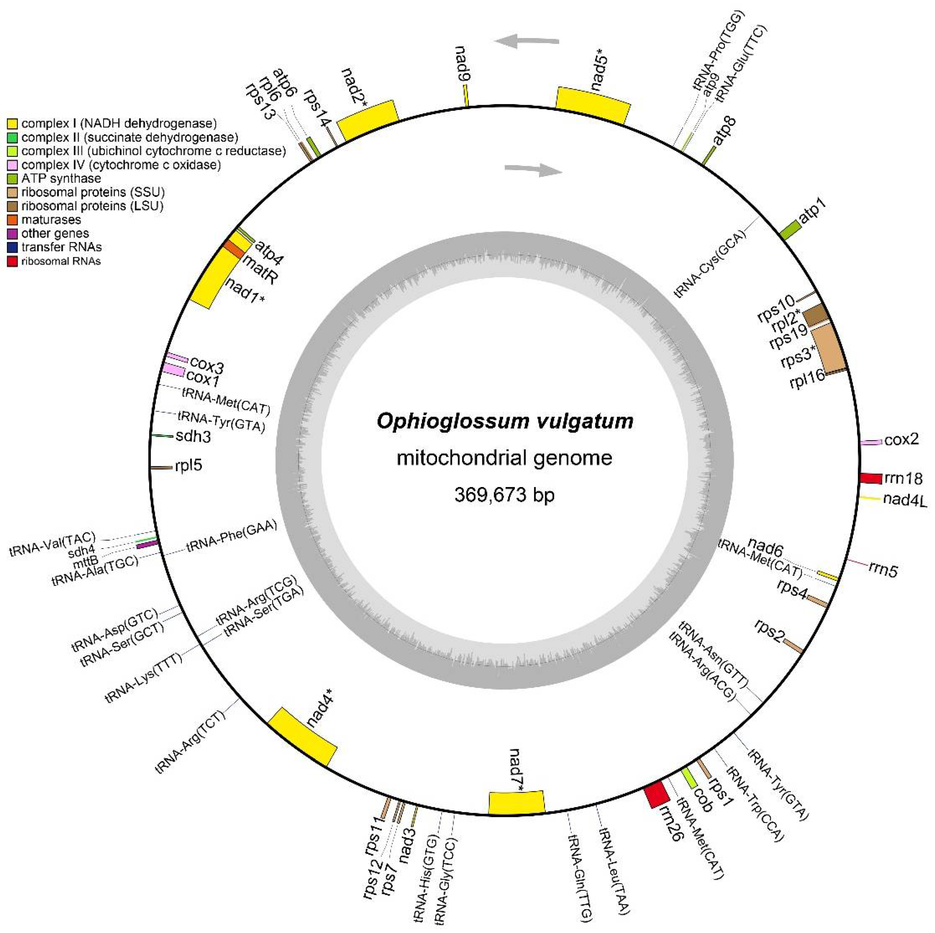 Genes 13 01287 g001