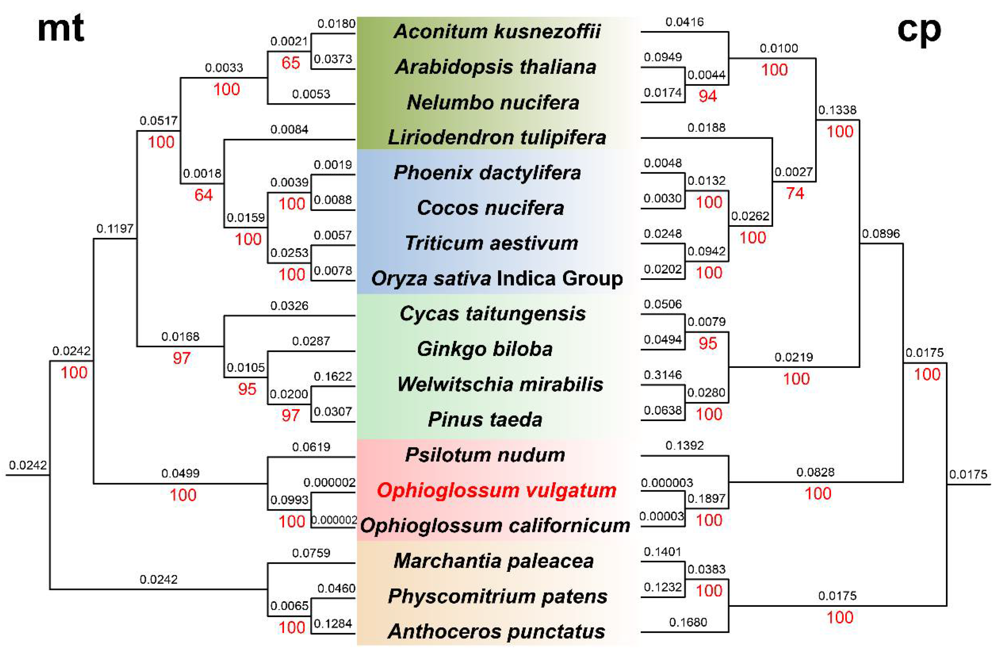 Genes 13 01287 g003