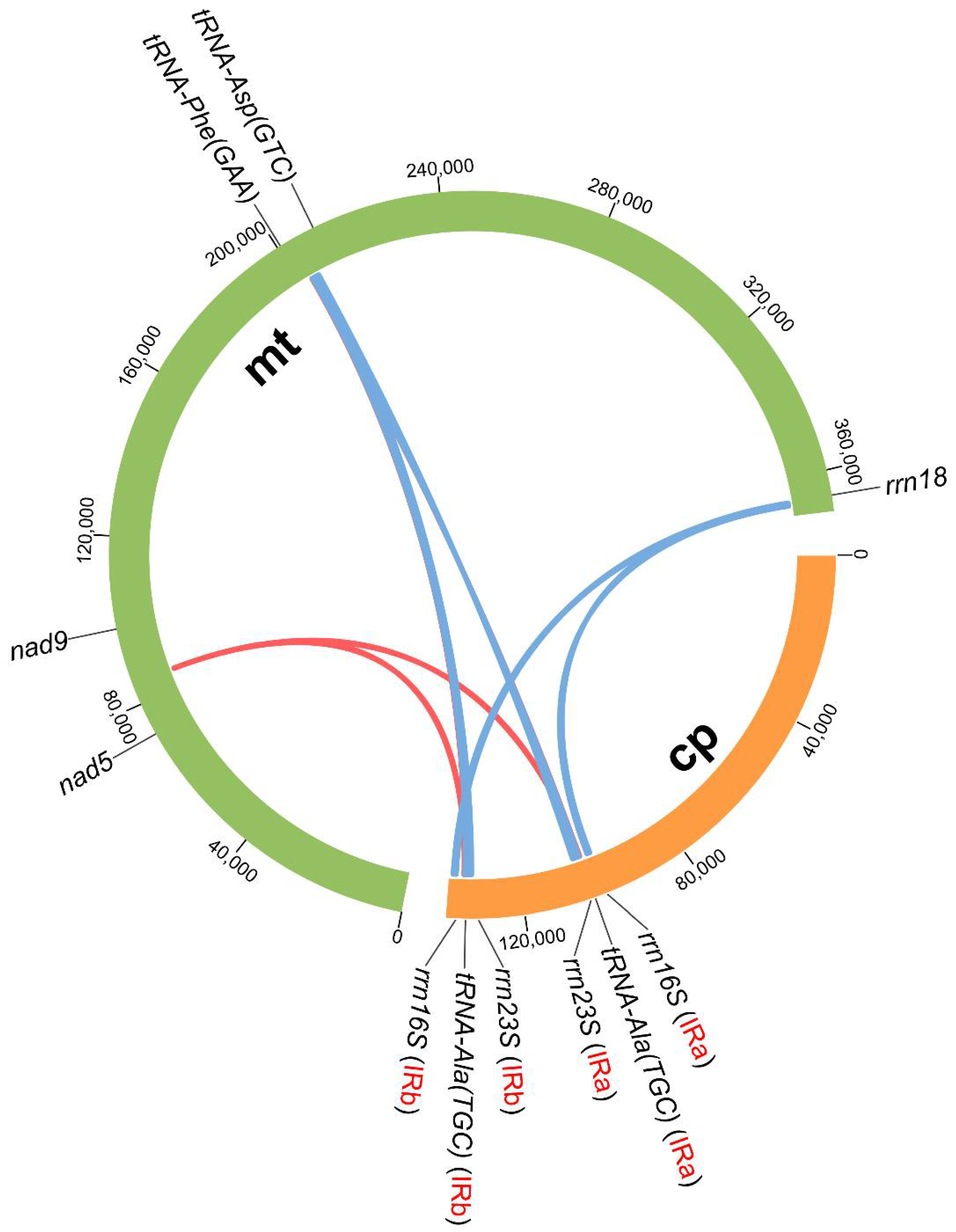 Genes 13 01287 g004