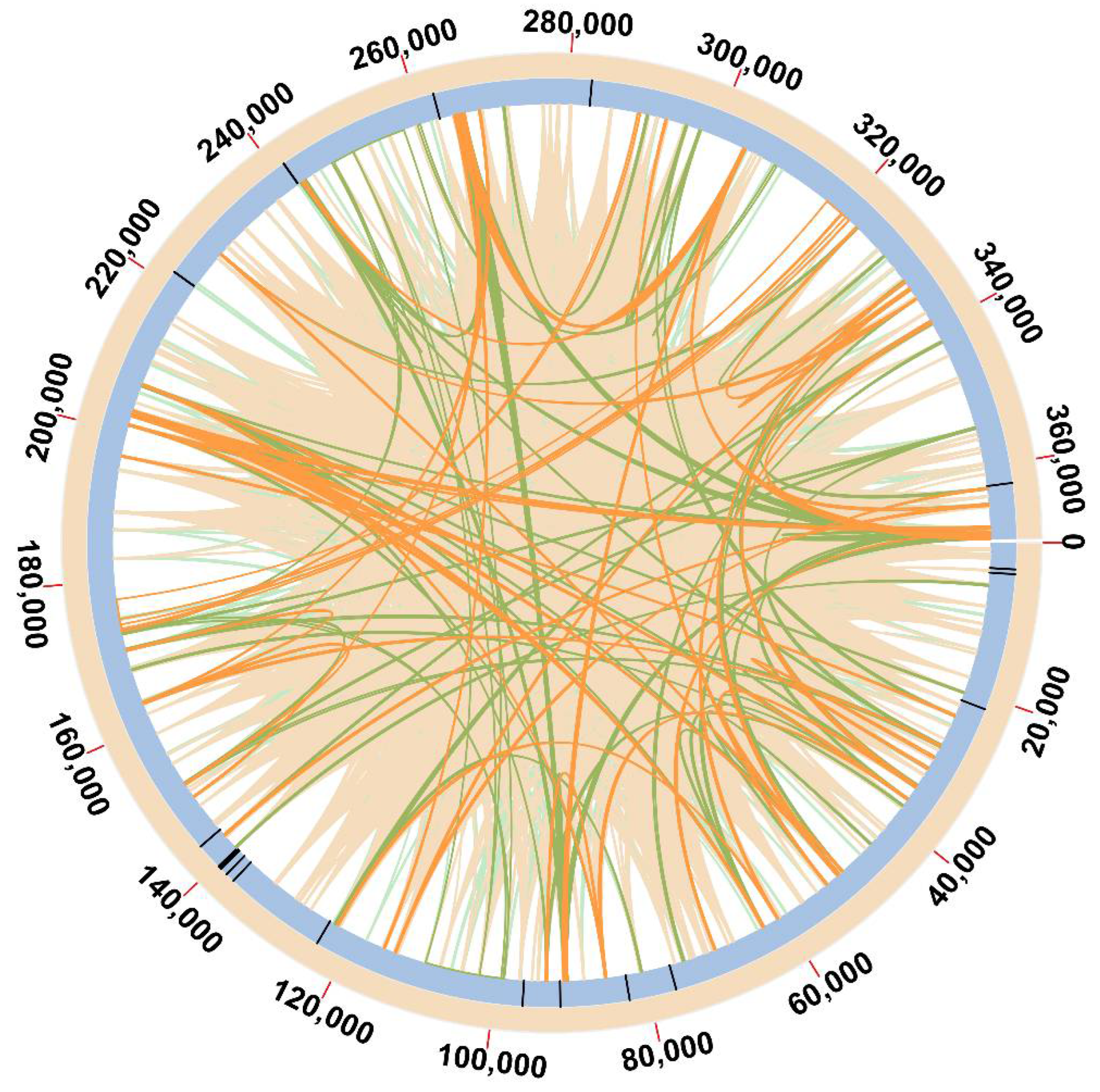 Genes 13 01287 g005