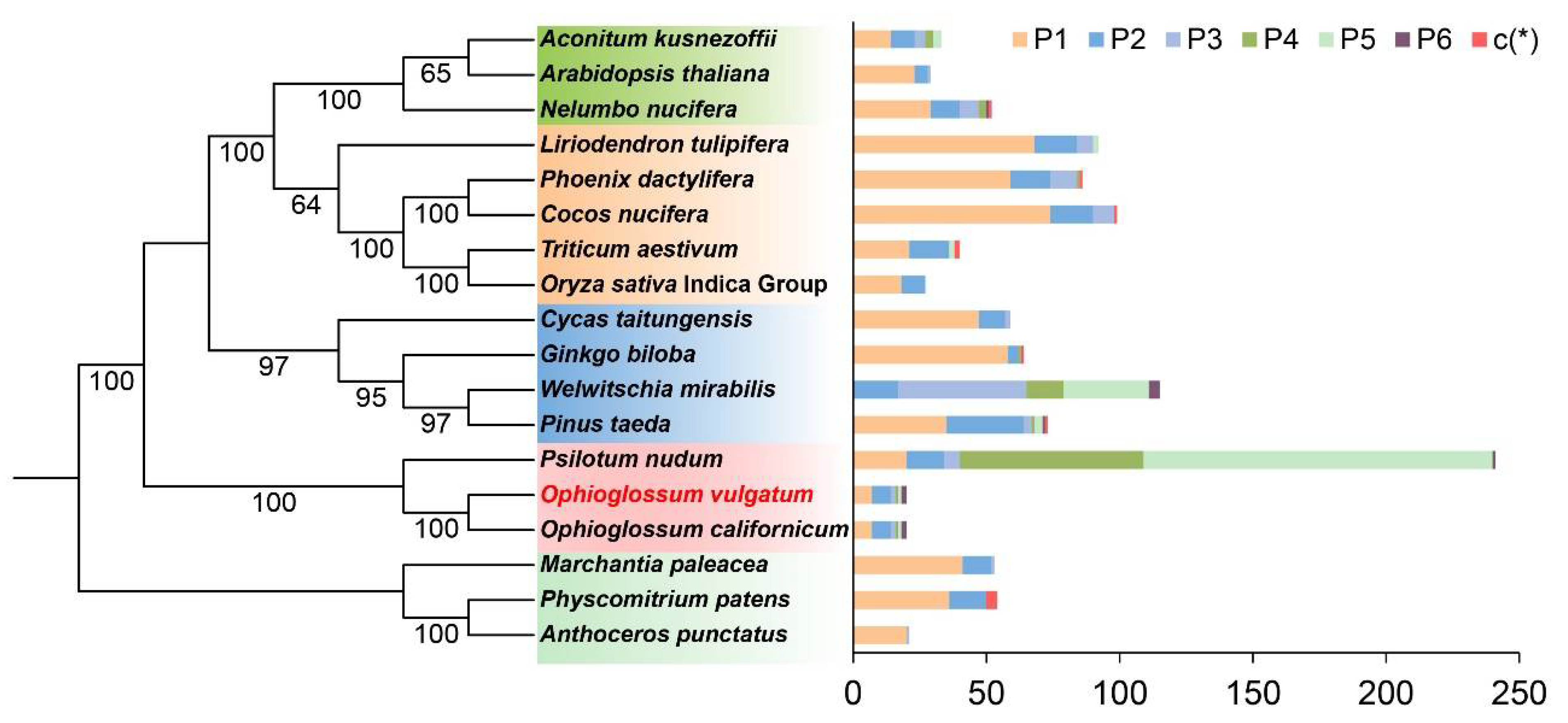 Genes 13 01287 g006