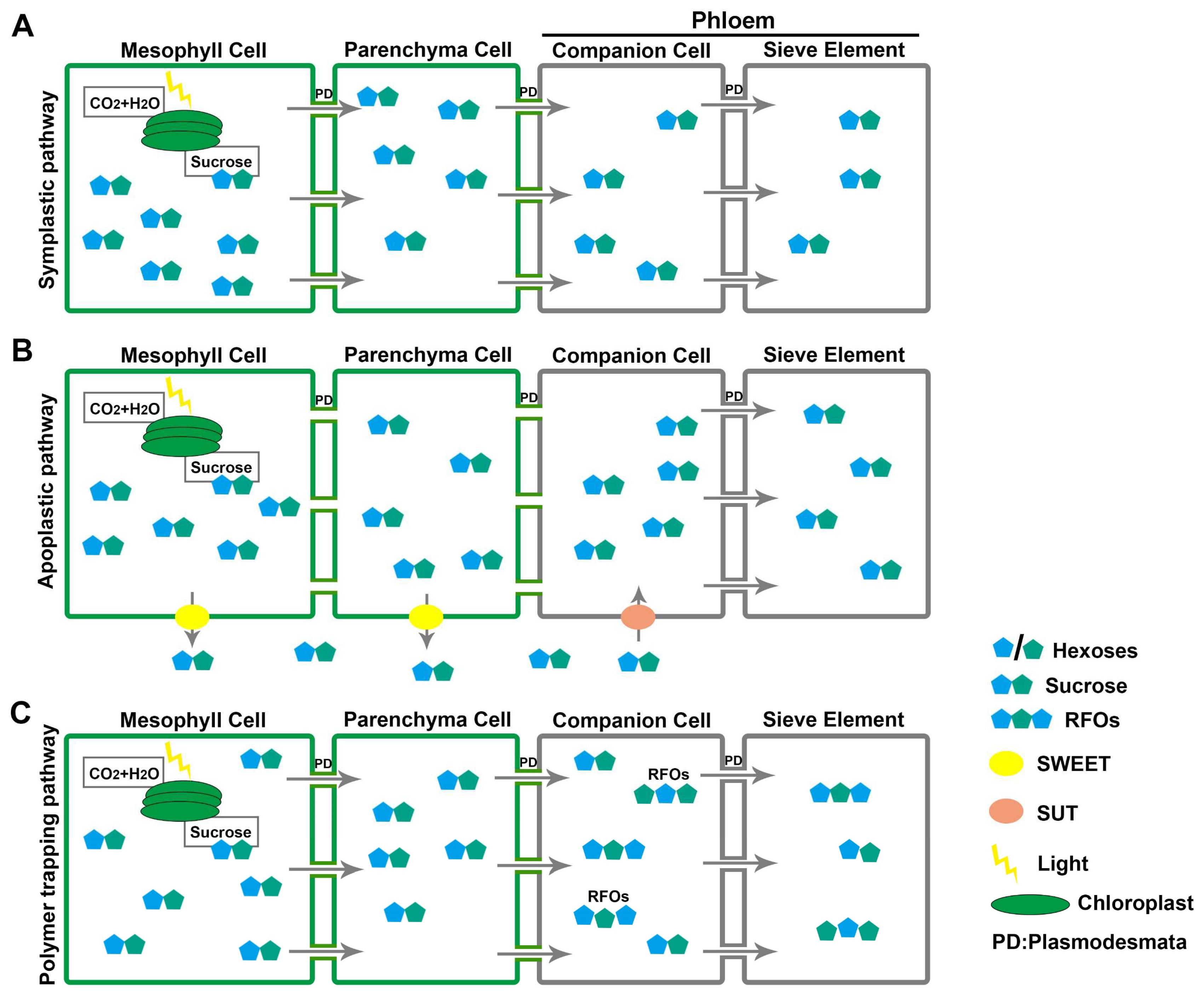 Genes 13 01323 g001 Genes 13 01323 g001
