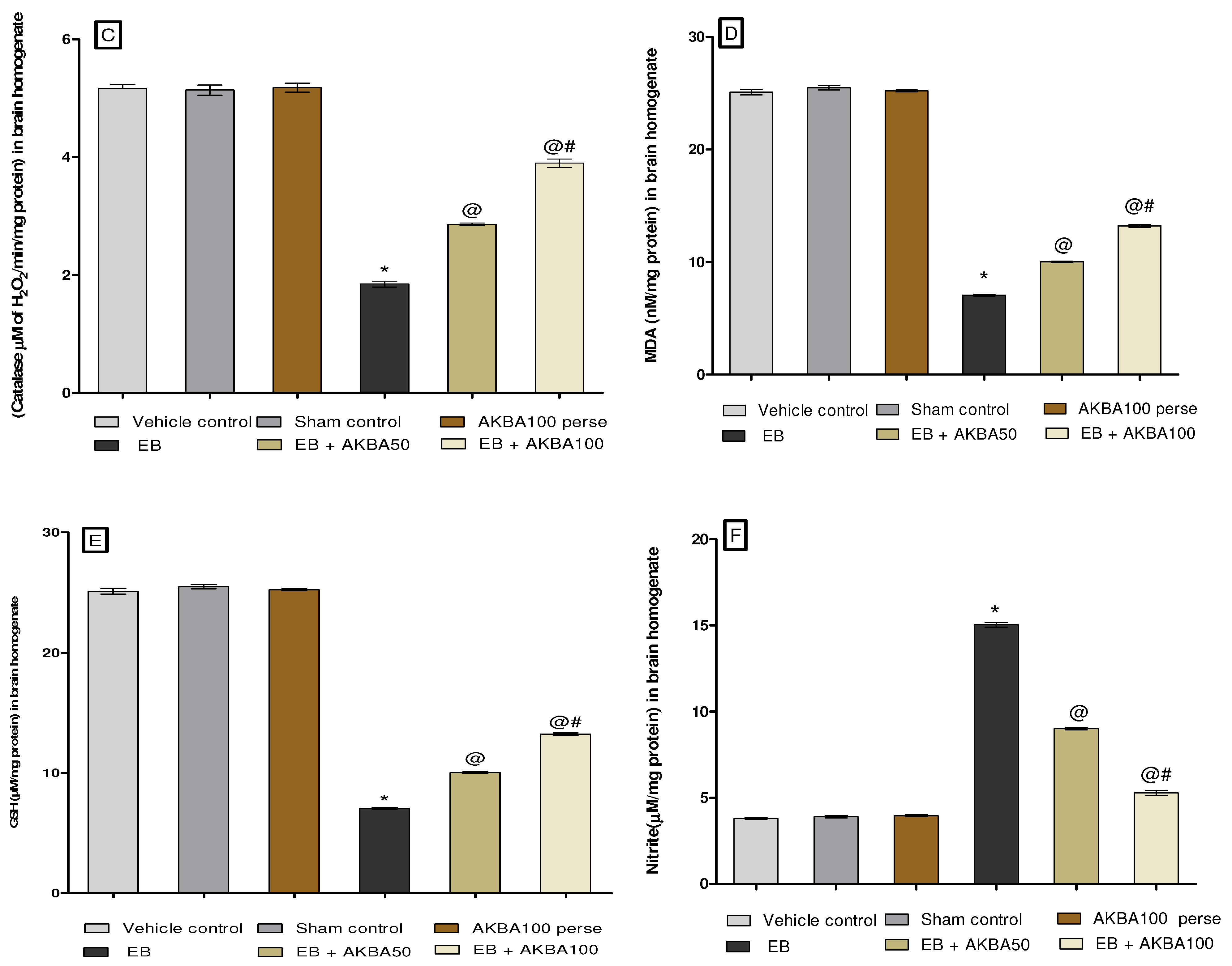 Genes 13 01324 g013b