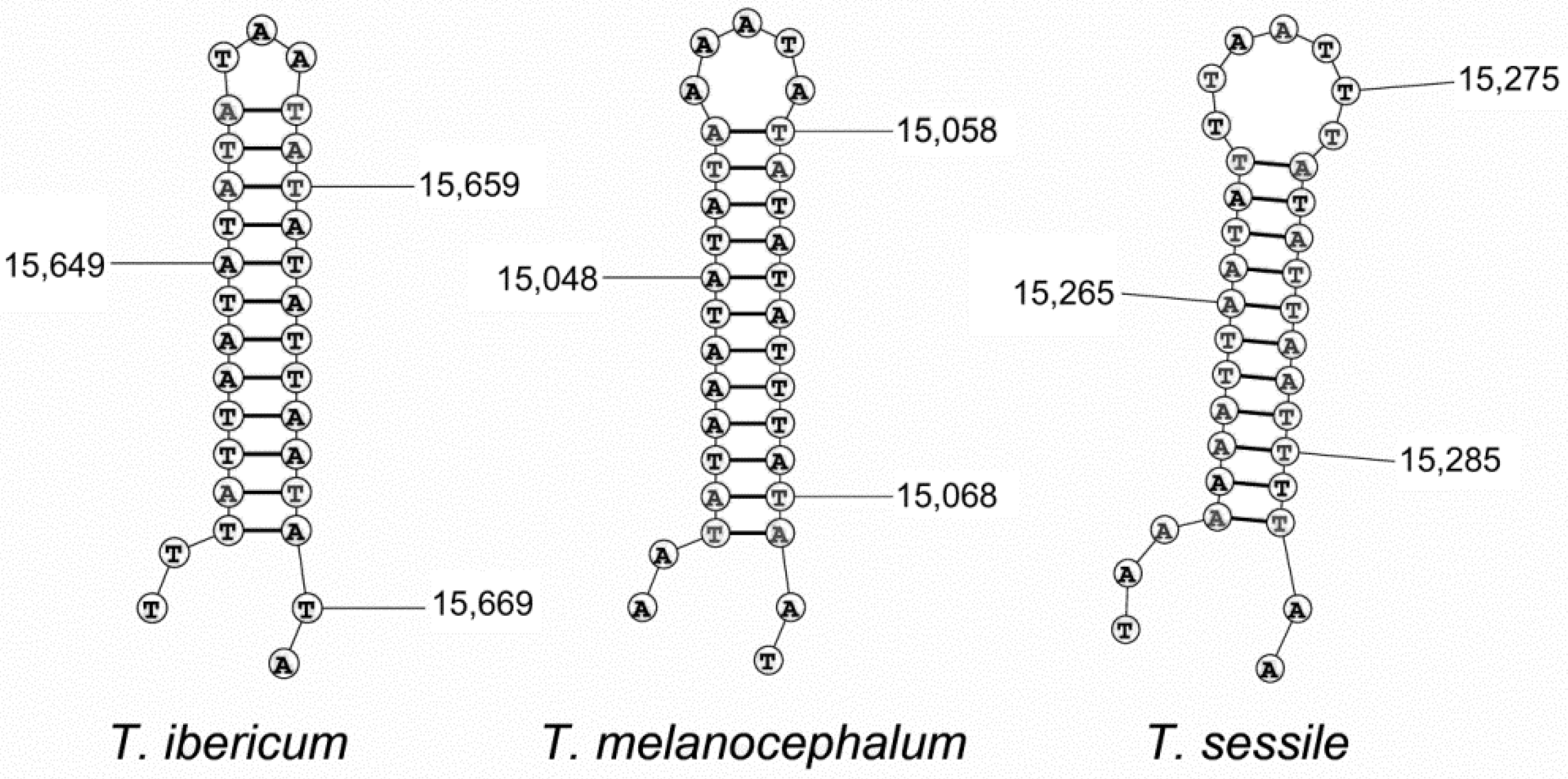 Genes 13 01325 g005