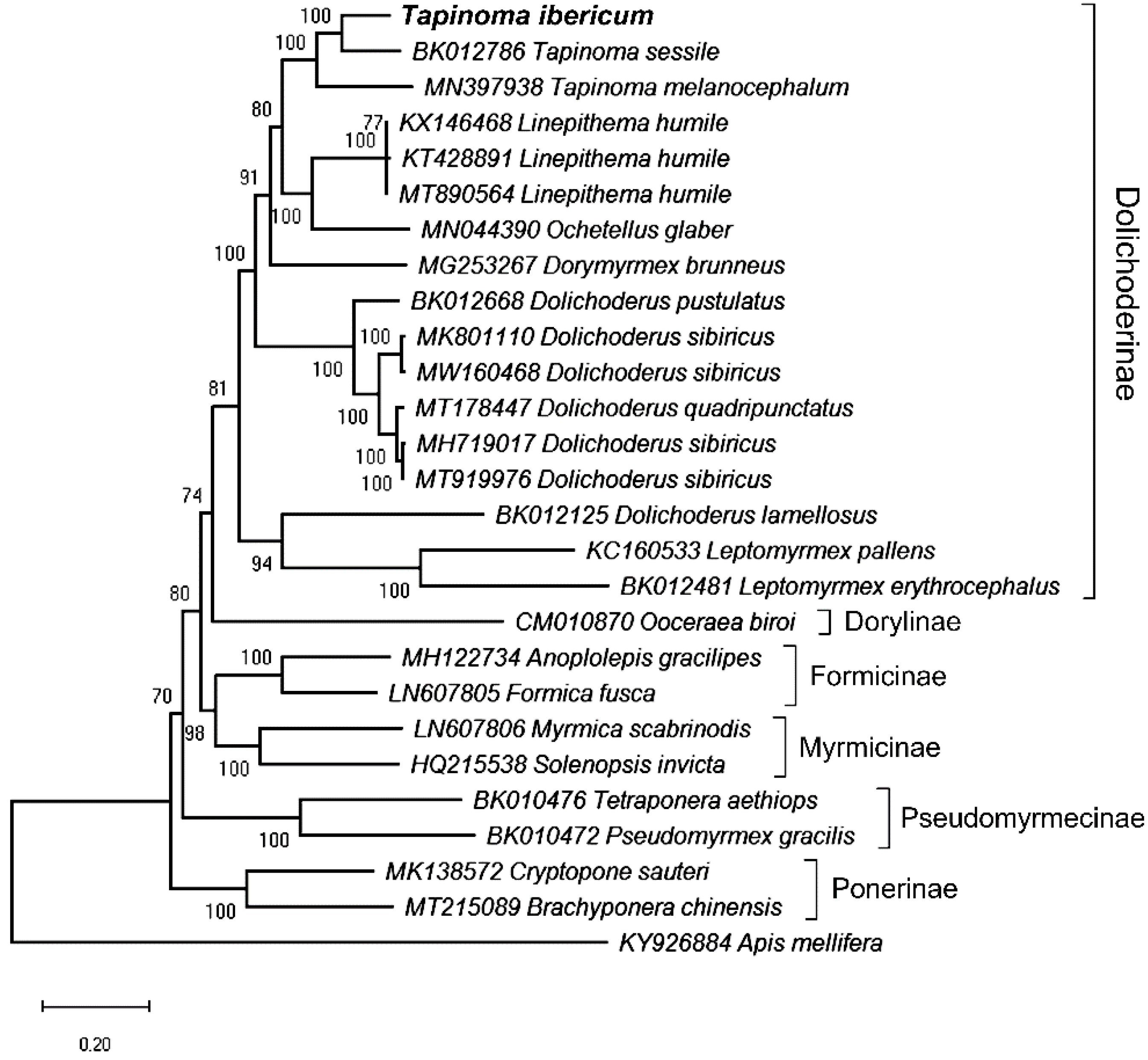 Genes 13 01325 g006