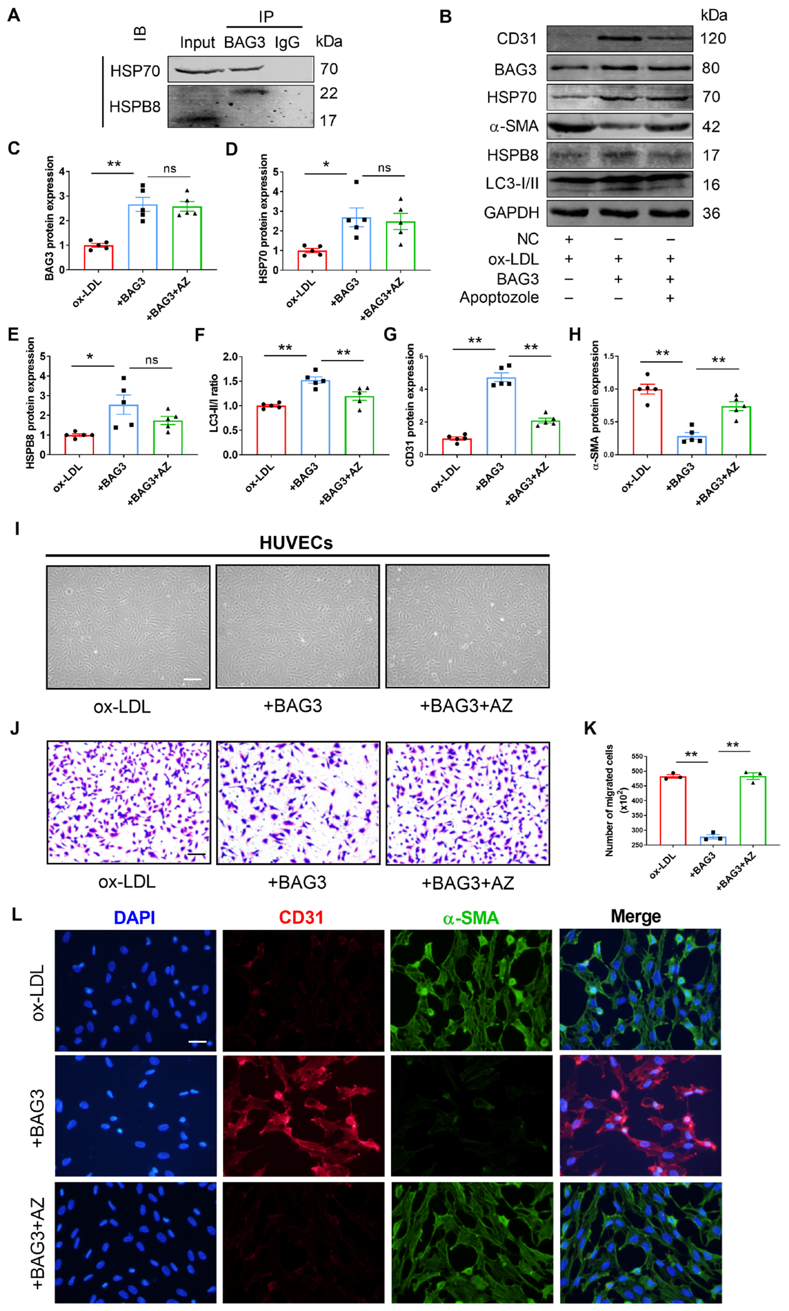 Genes 13 01338 g006 Genes 13 01338 g006