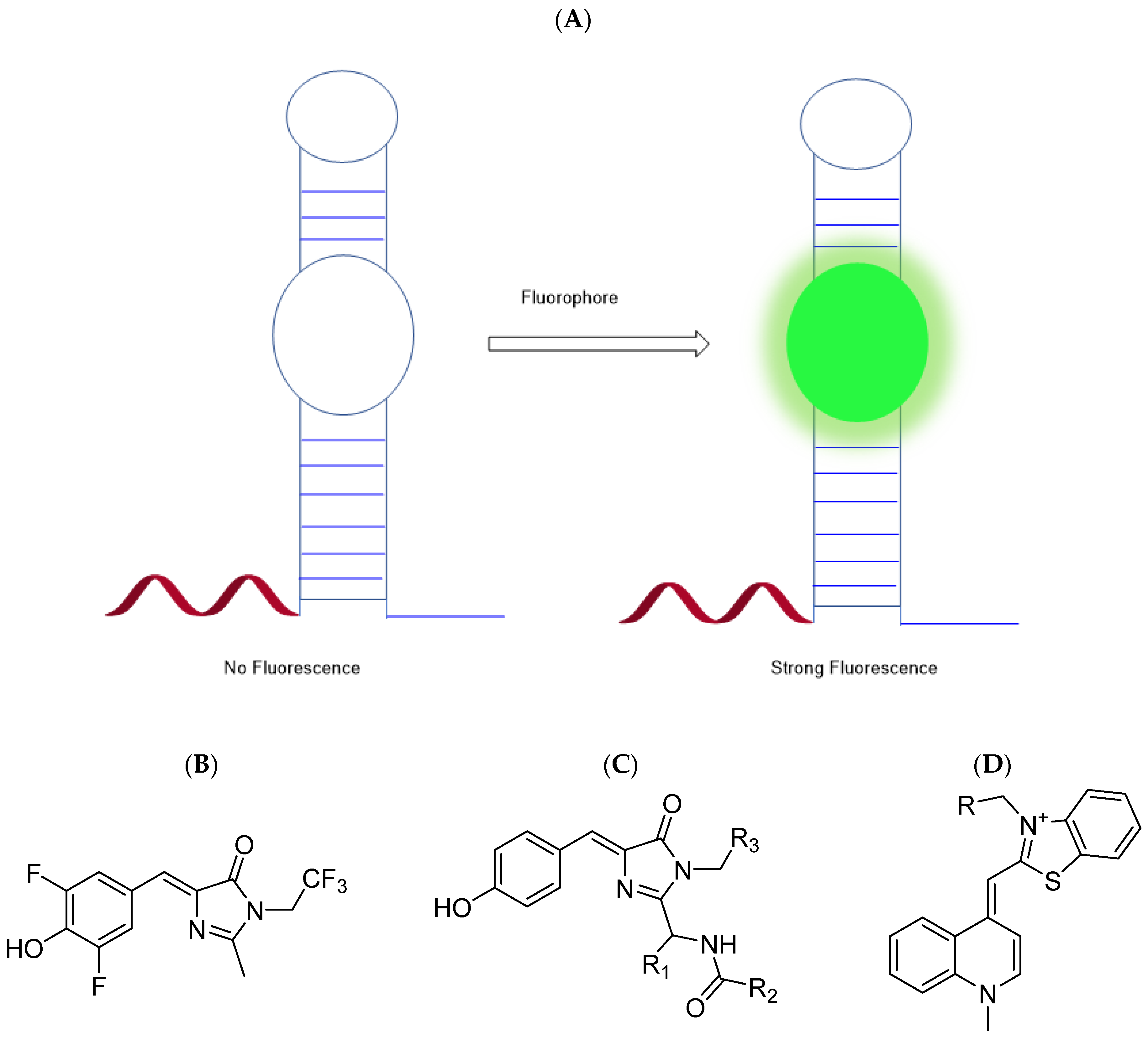 Genes 13 01348 g003 Genes 13 01348 g003