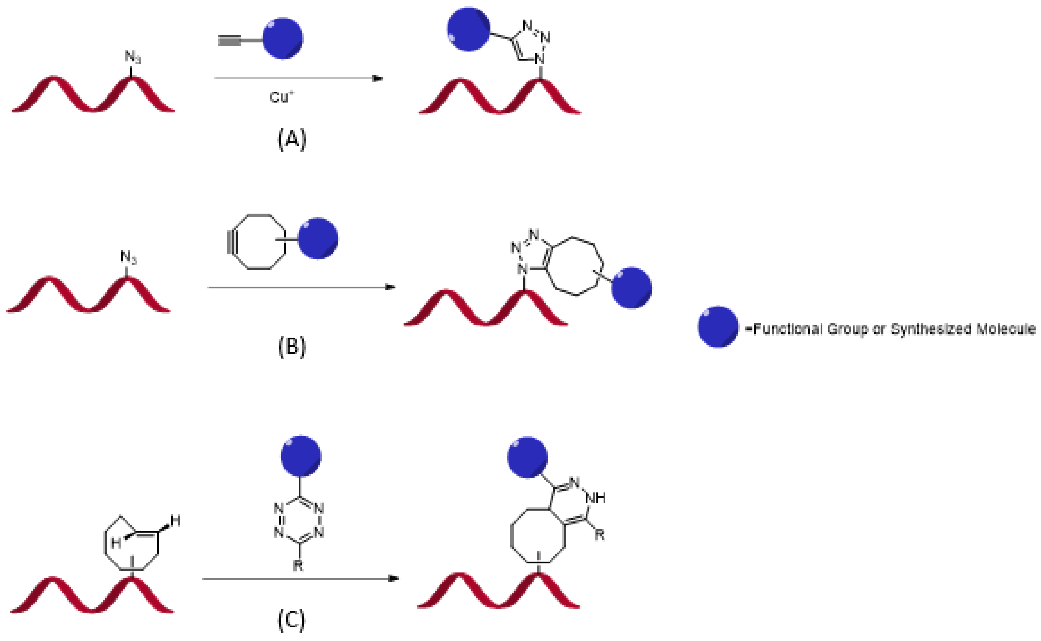 Genes 13 01348 g005 Genes 13 01348 g005