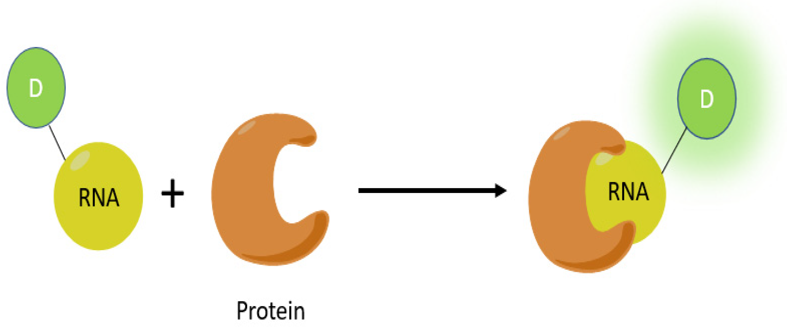 Genes 13 01348 g010 Genes 13 01348 g010