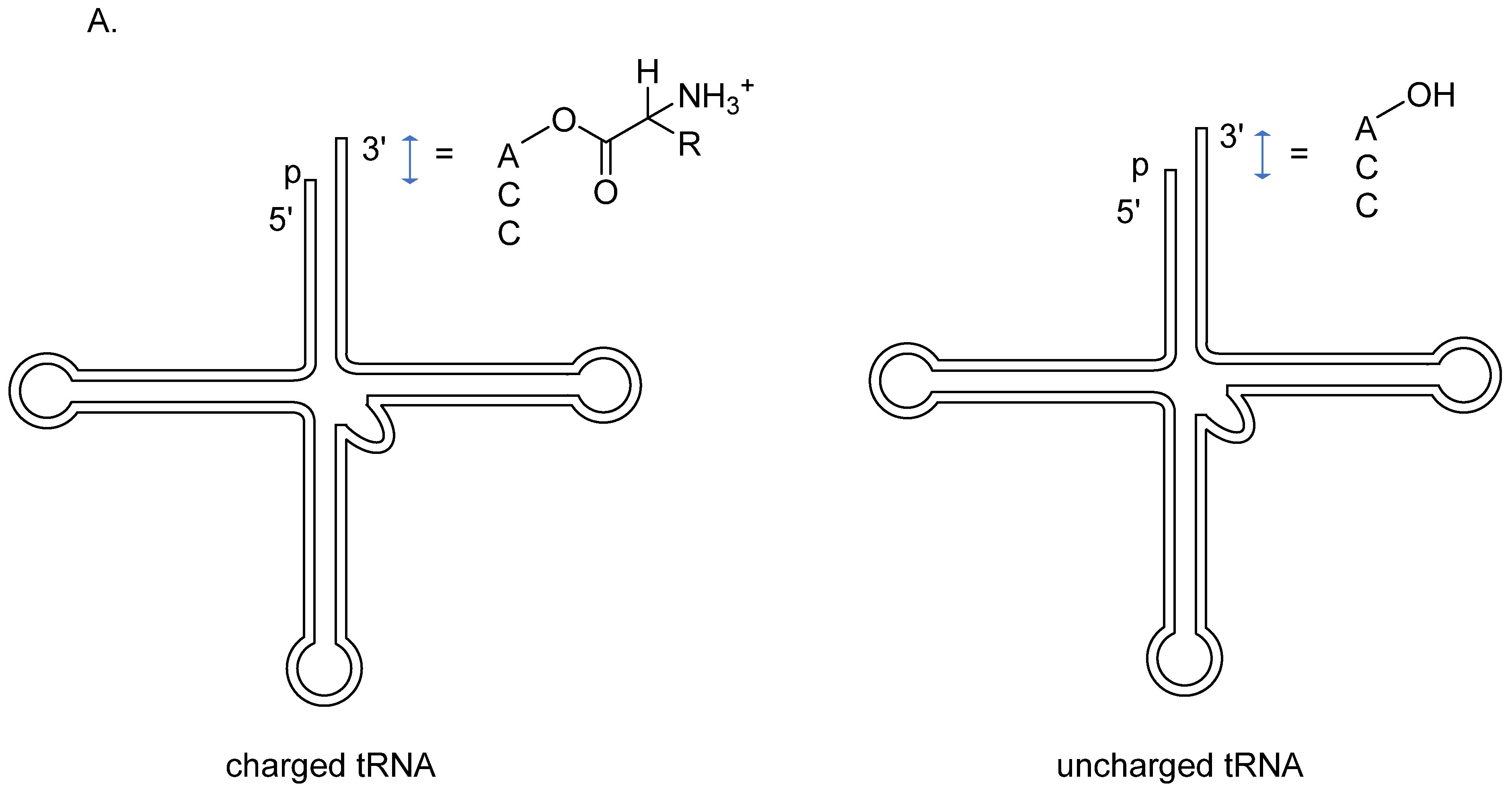 Genes 13 01348 g012a Genes 13 01348 g012a