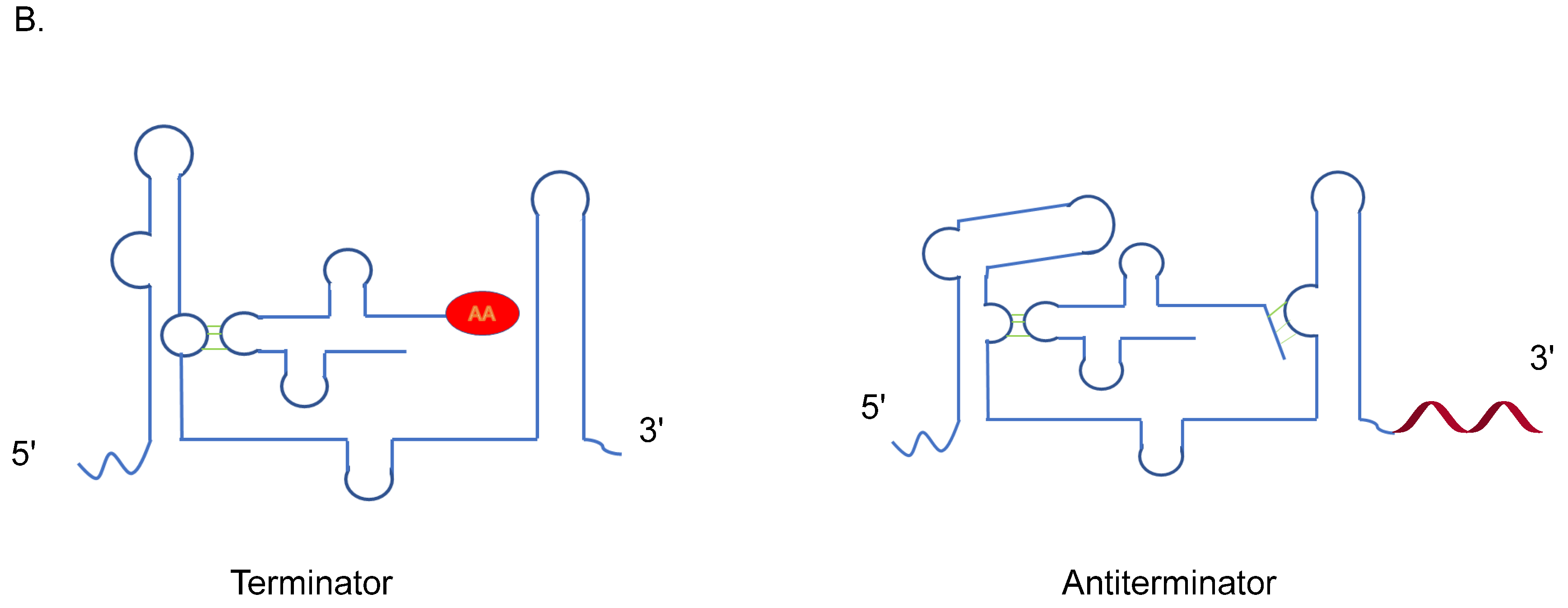 Genes 13 01348 g012b Genes 13 01348 g012b