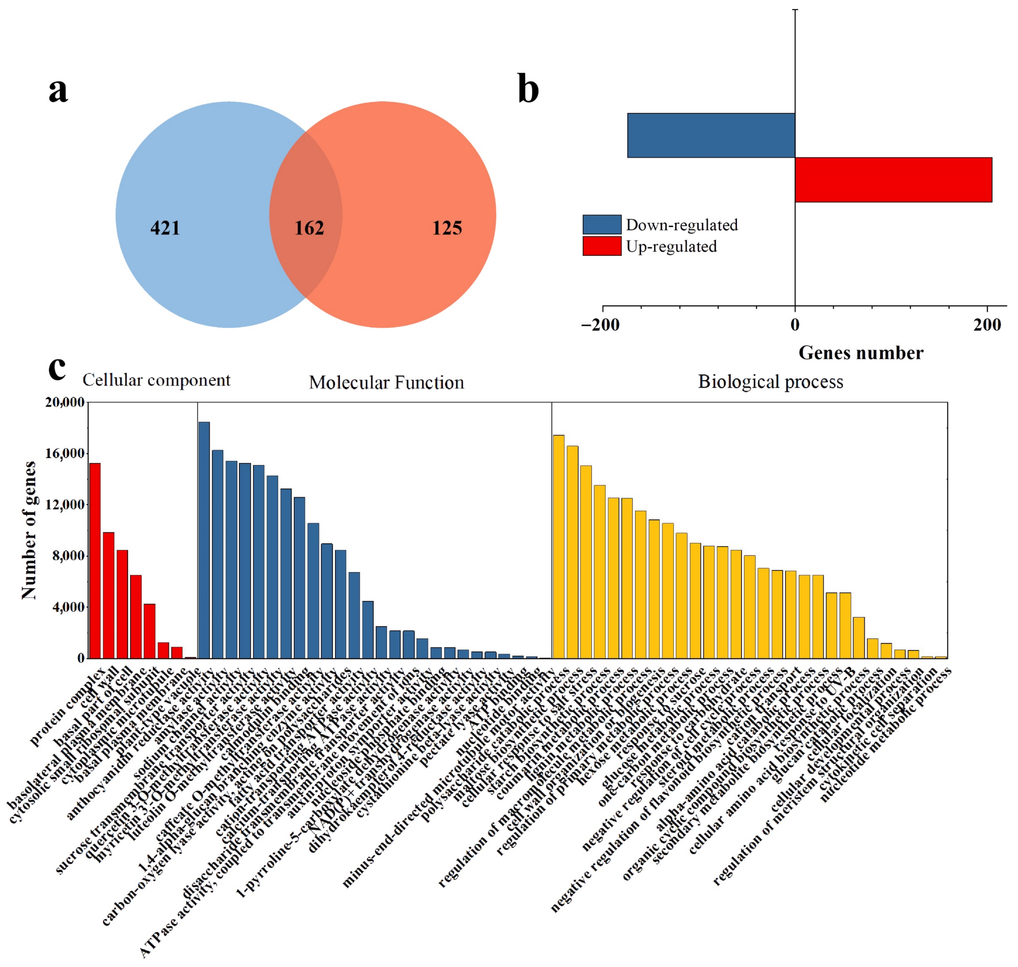 Genes 13 01350 g001