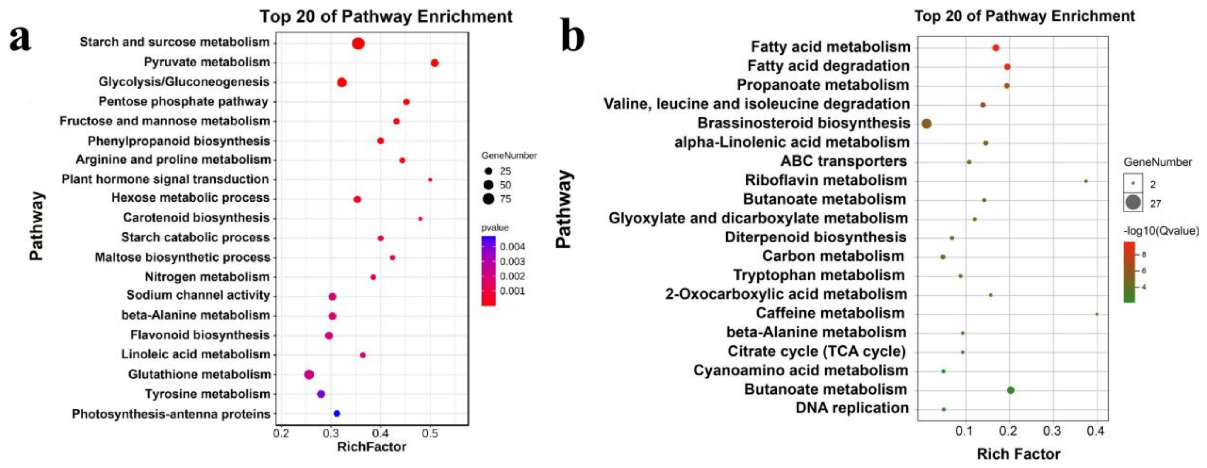 Genes 13 01350 g002