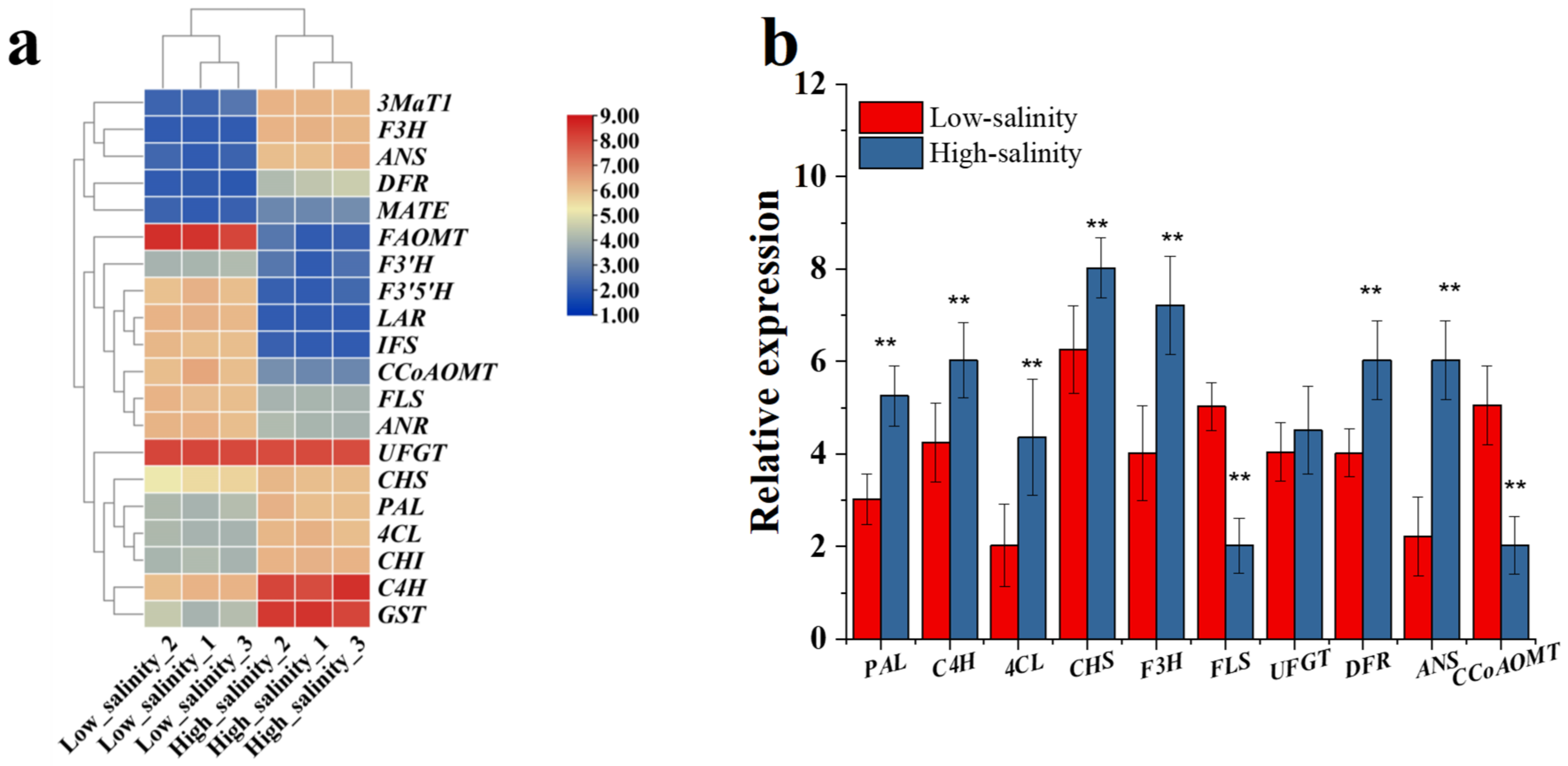 Genes 13 01350 g010