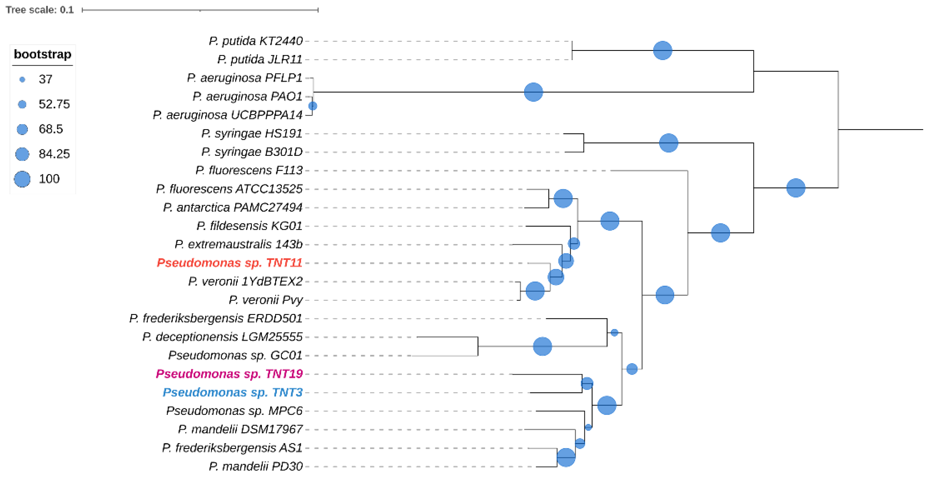 Genes 13 01354 g002