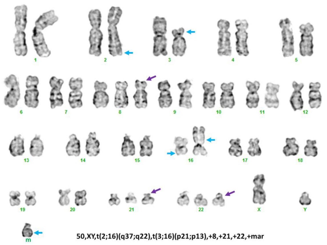 Genes 13 01367 g002 Genes 13 01367 g002