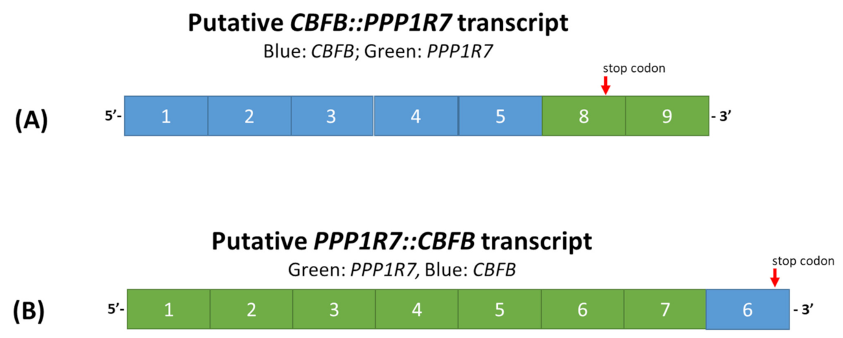 Genes 13 01367 g005 Genes 13 01367 g005