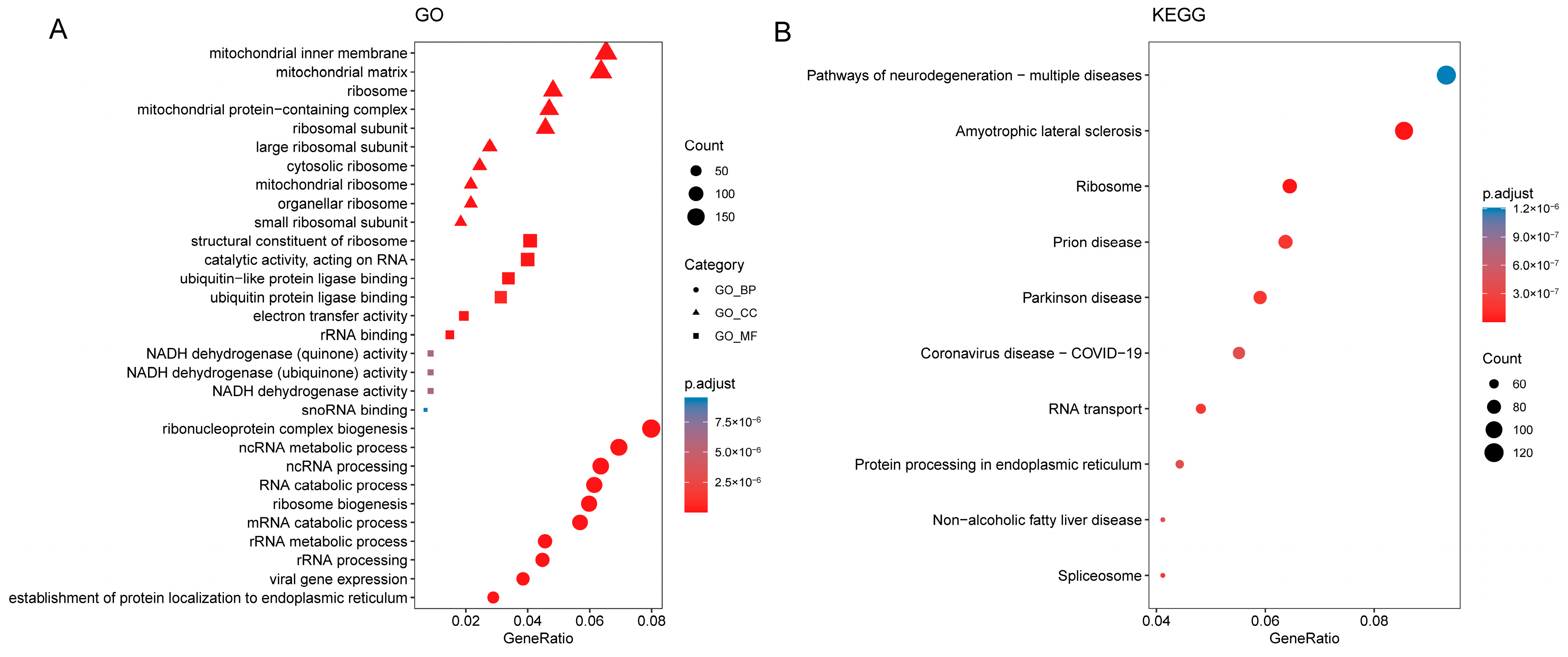 Genes 13 01373 g005