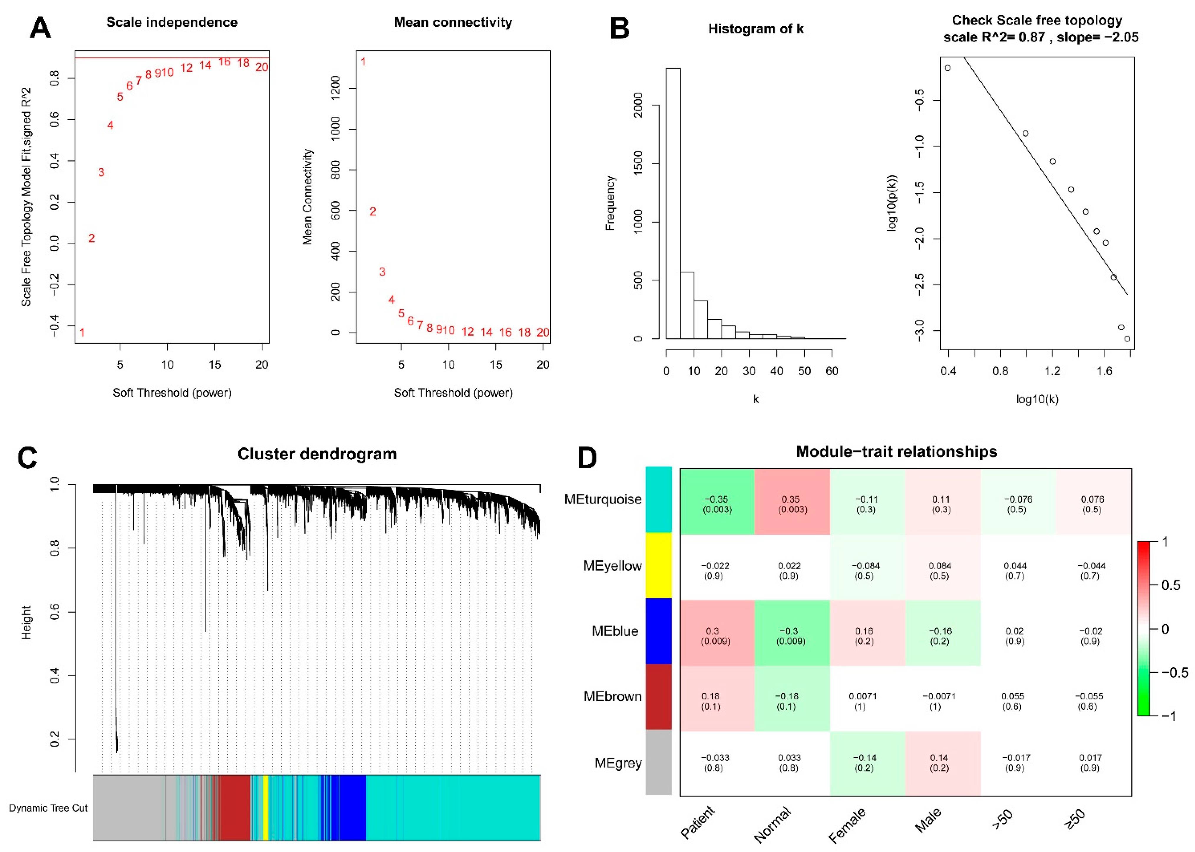 Genes 13 01373 g006