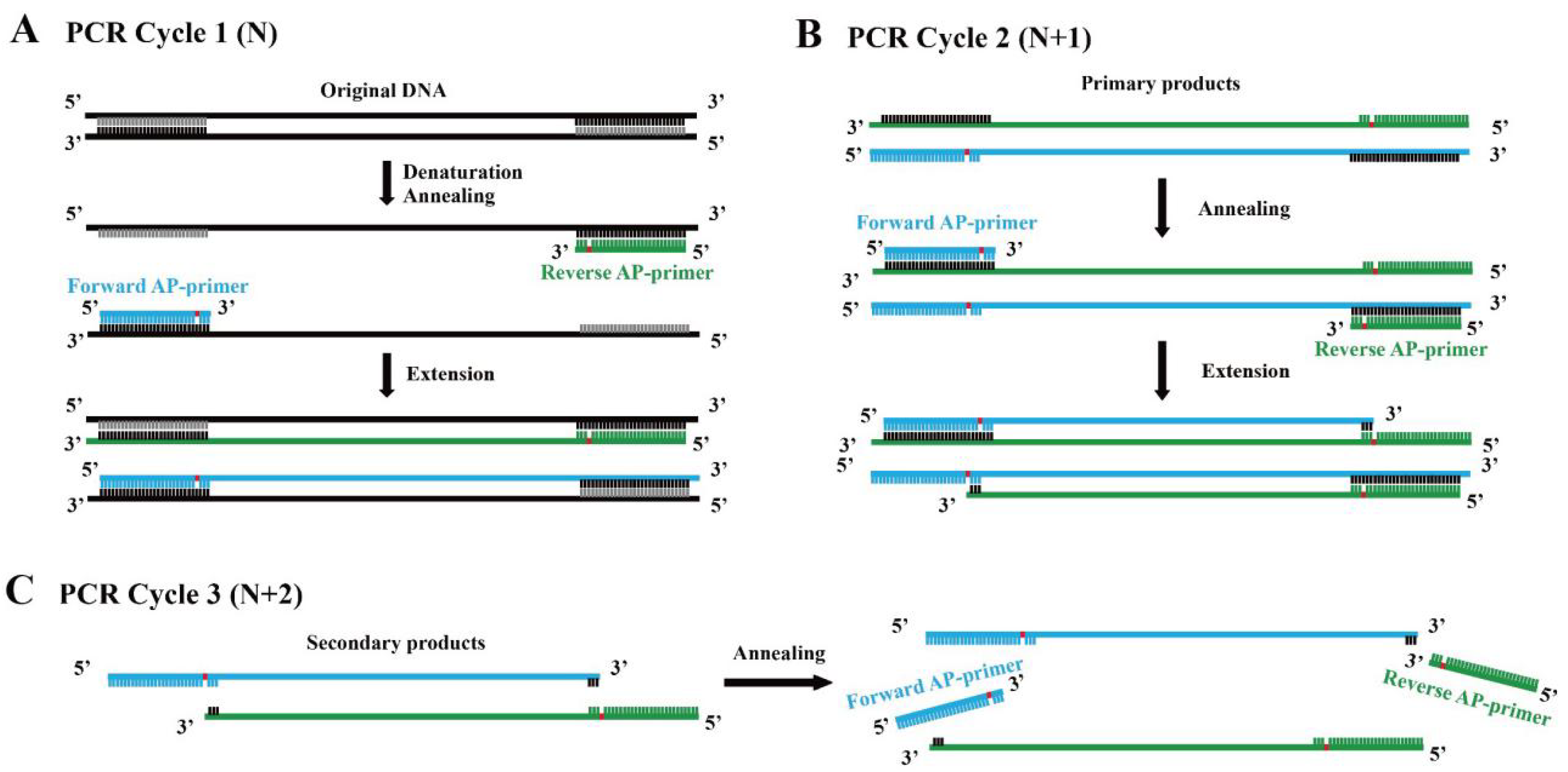Genes 13 01386 g001
