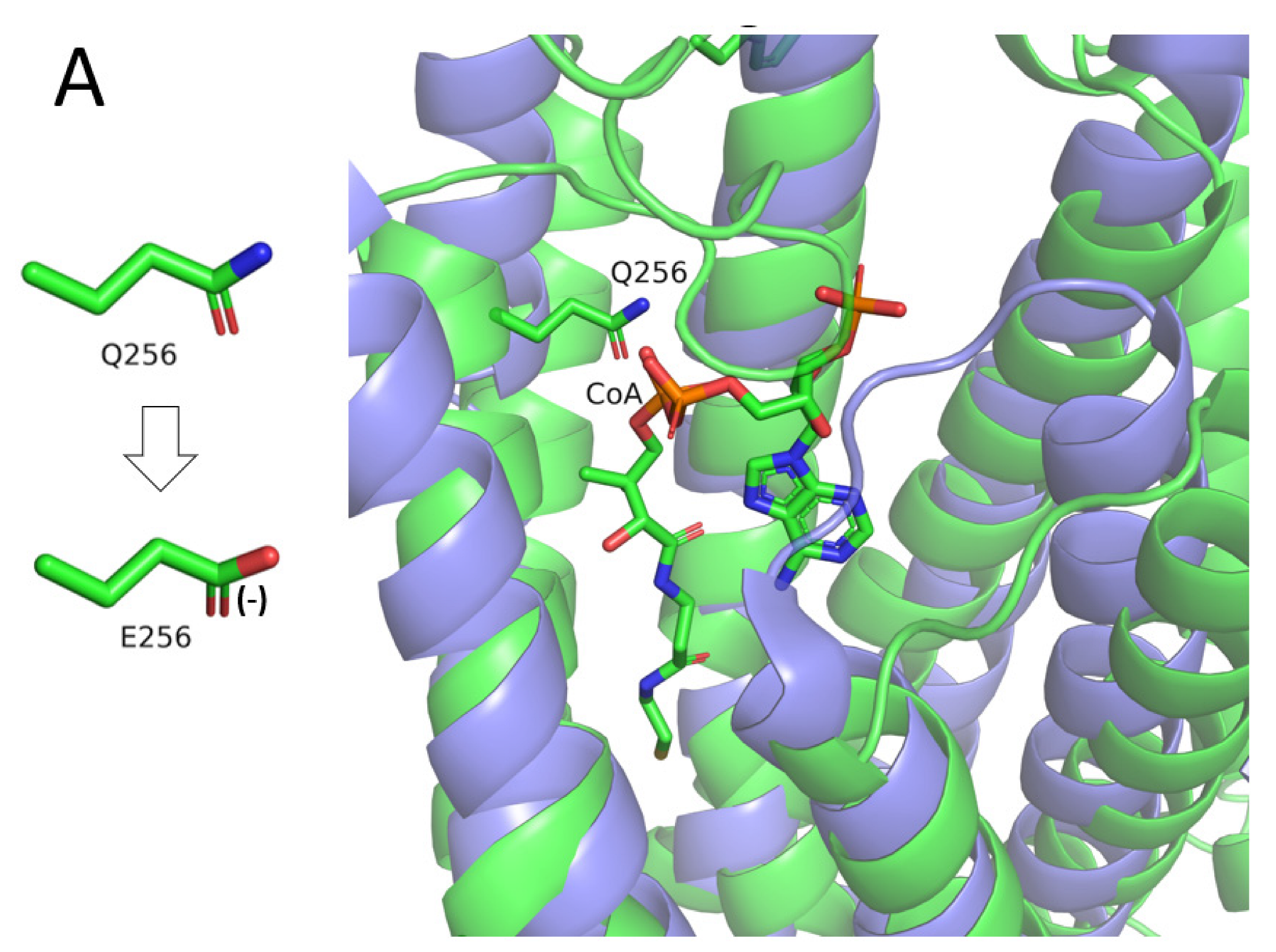Genes 13 01393 g004a