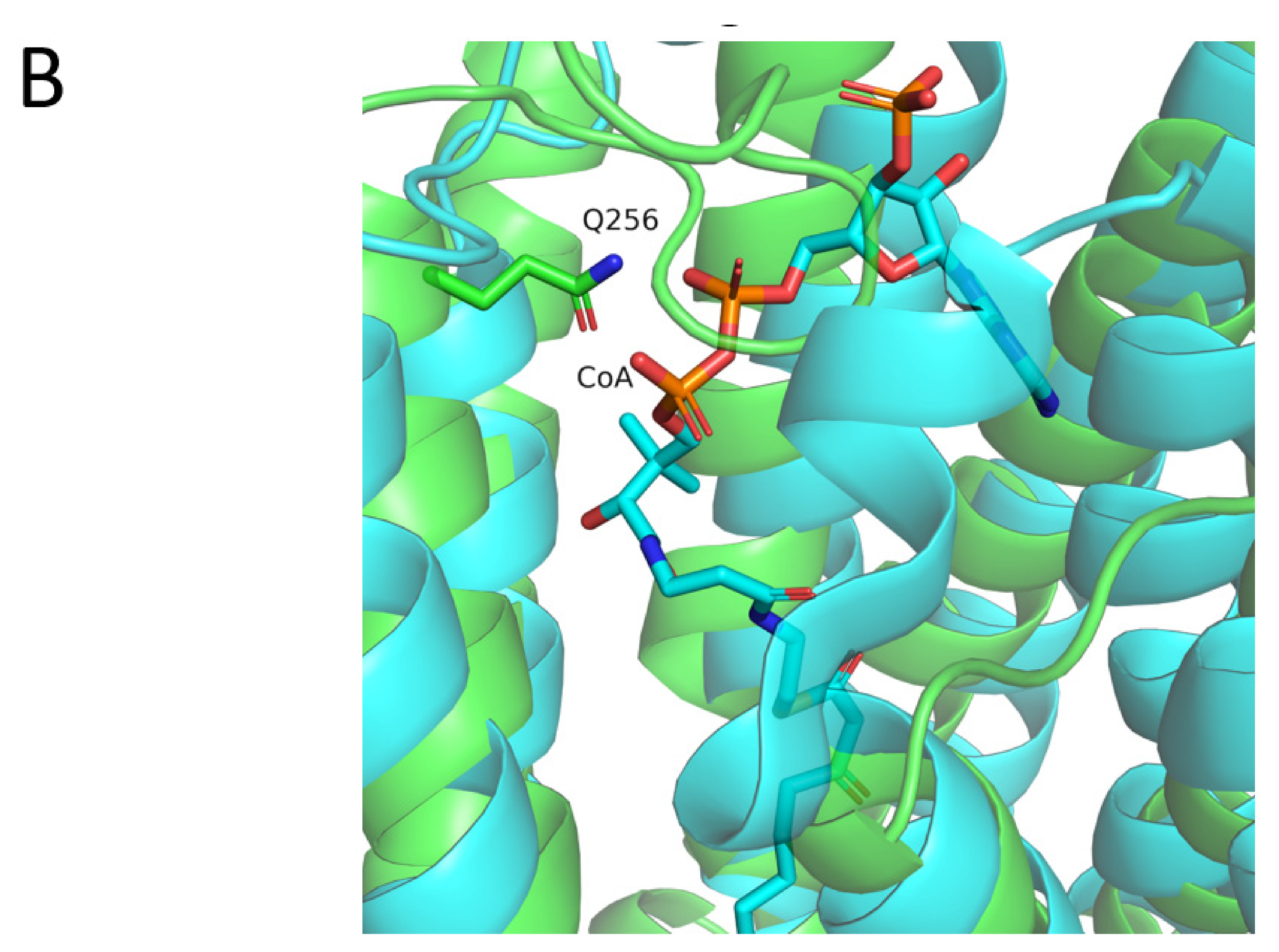 Genes 13 01393 g004b