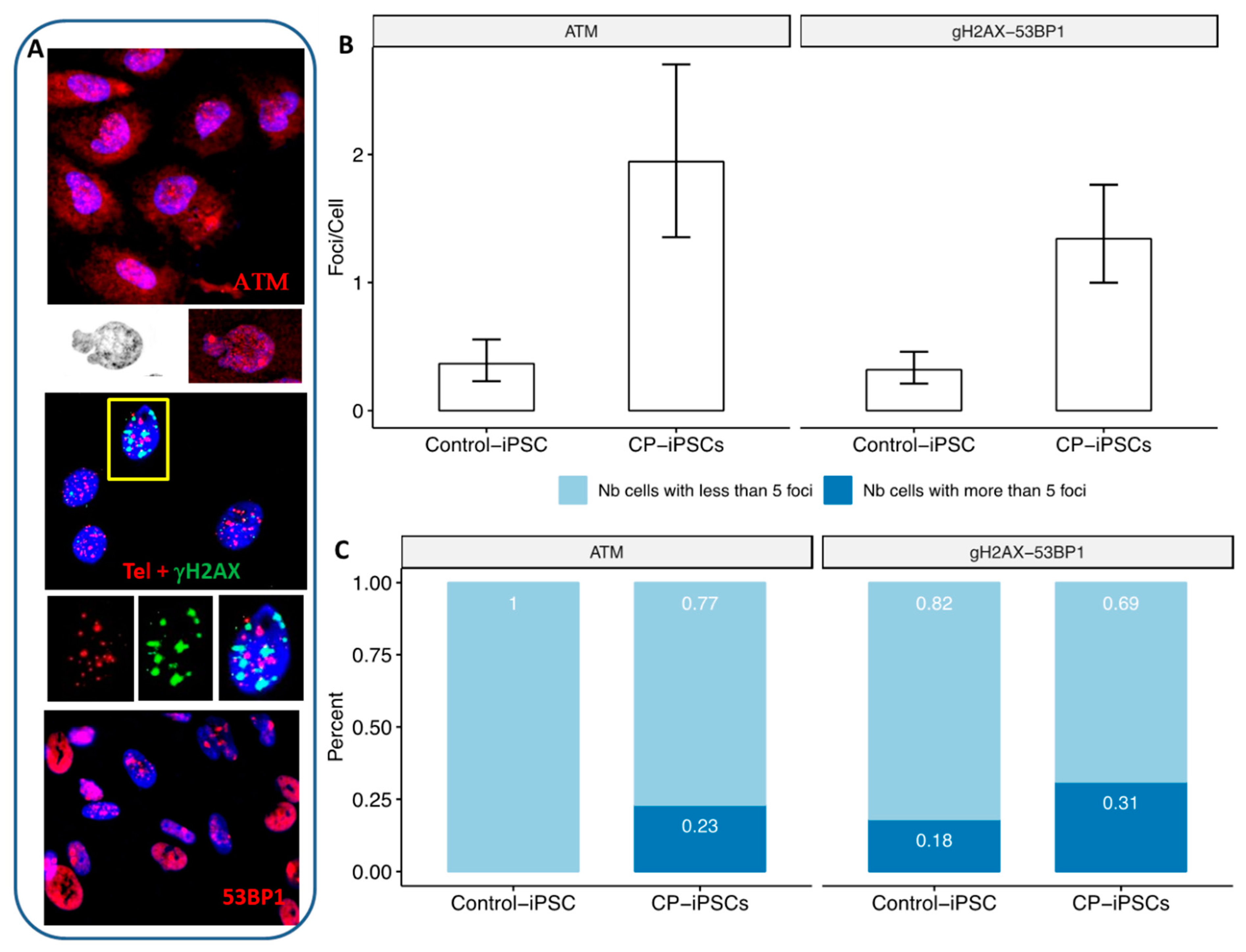 Genes 13 01395 g005