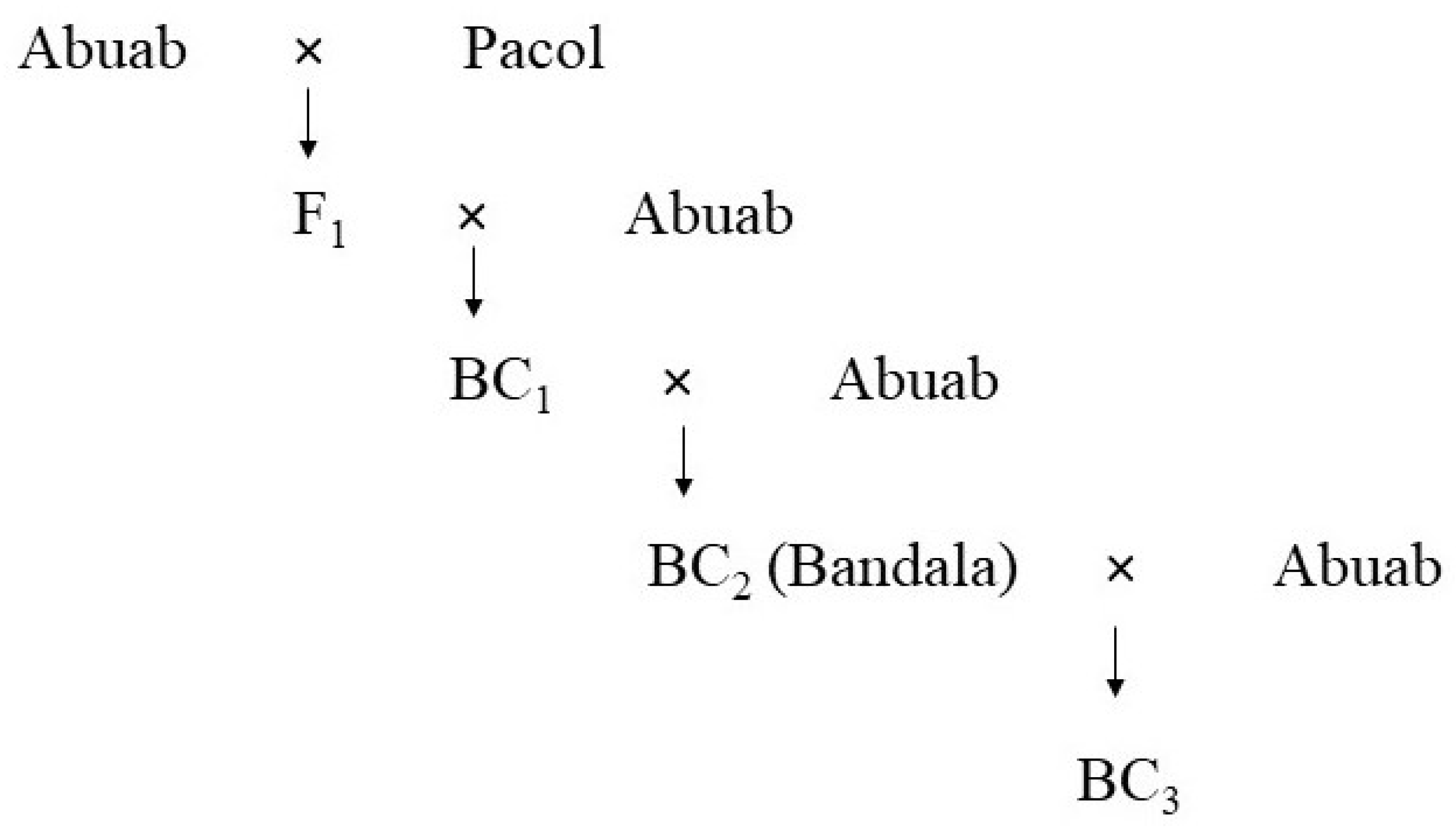 Genes 13 01396 g001 Genes 13 01396 g001