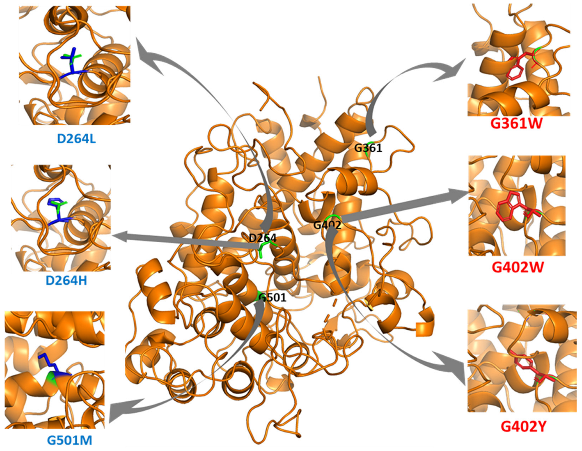 Genes 13 01412 g003 Genes 13 01412 g003