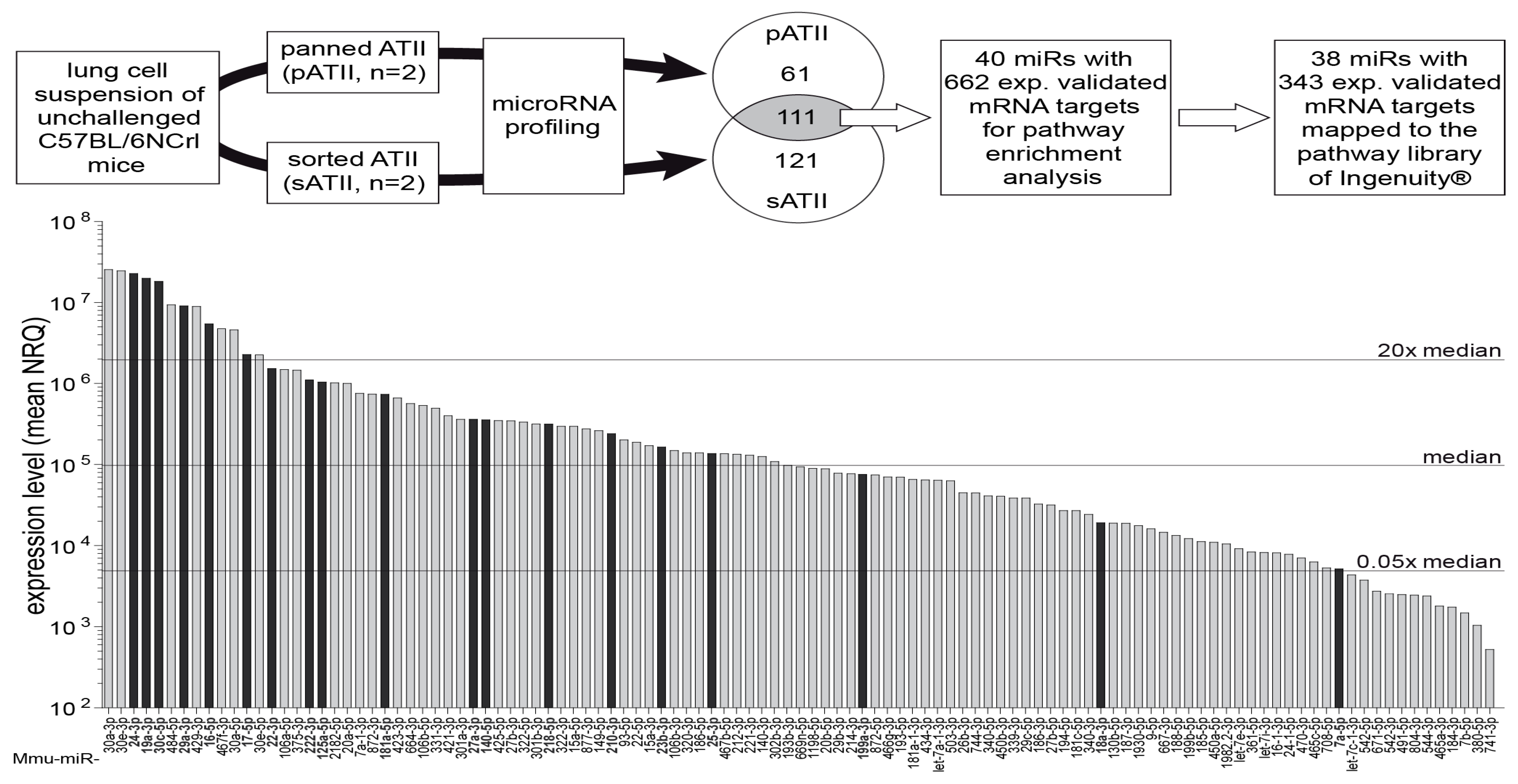Genes 13 01420 g004