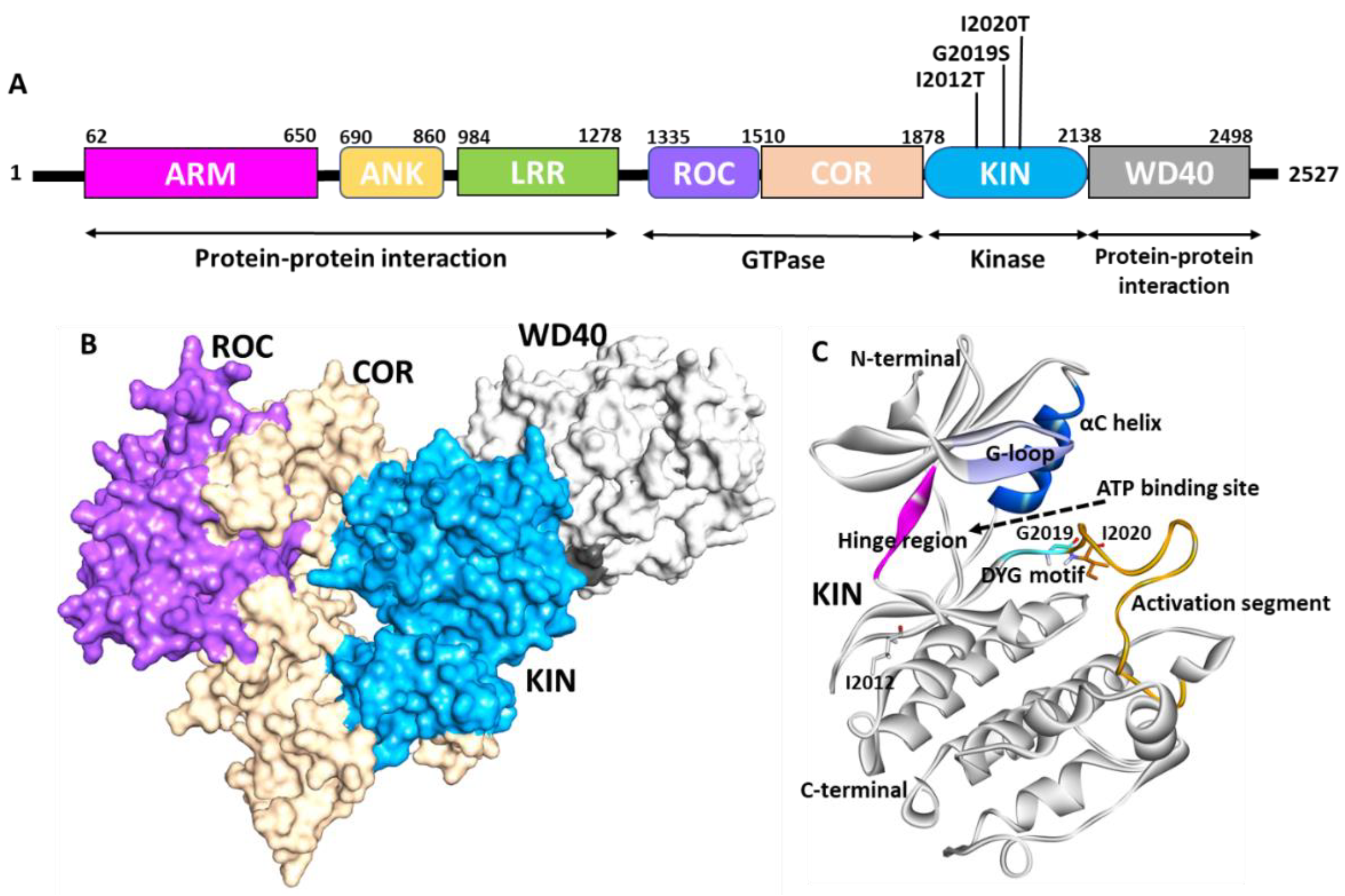 Genes 13 01426 g001 Genes 13 01426 g001