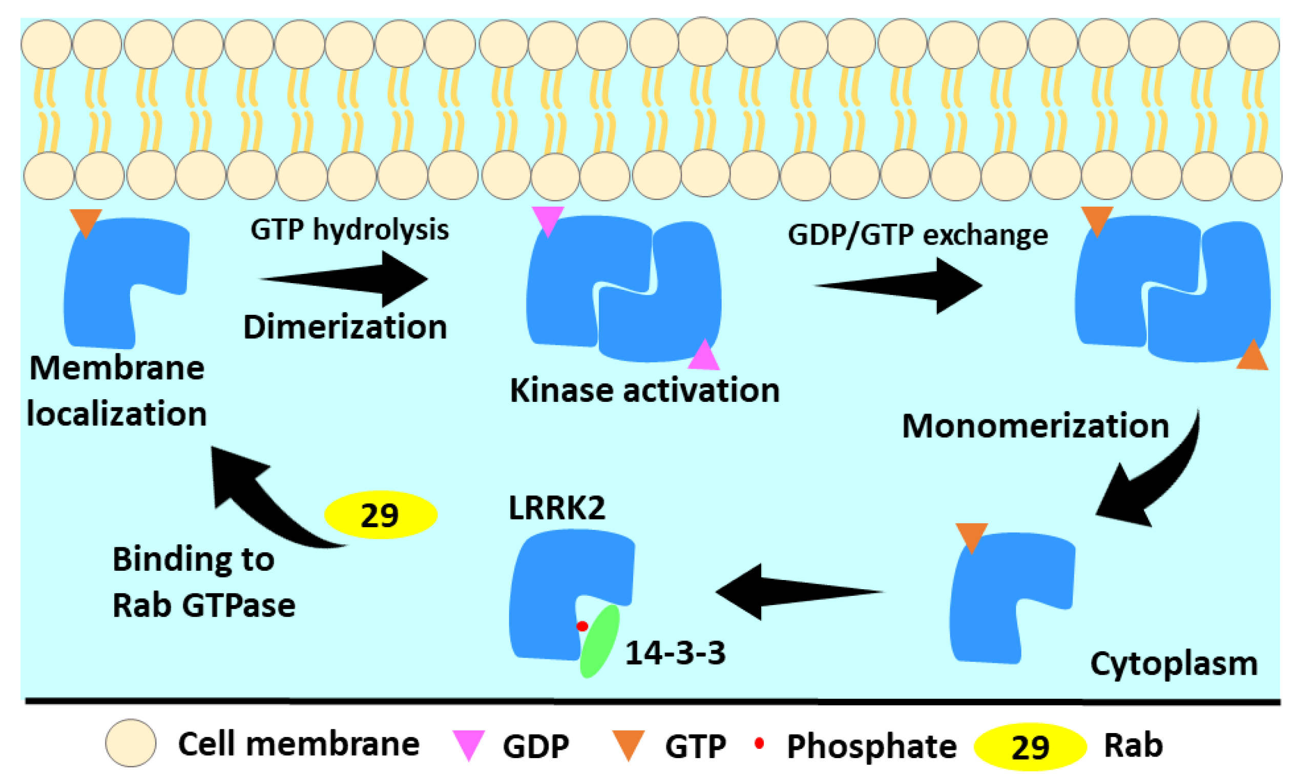 Genes 13 01426 g003 Genes 13 01426 g003