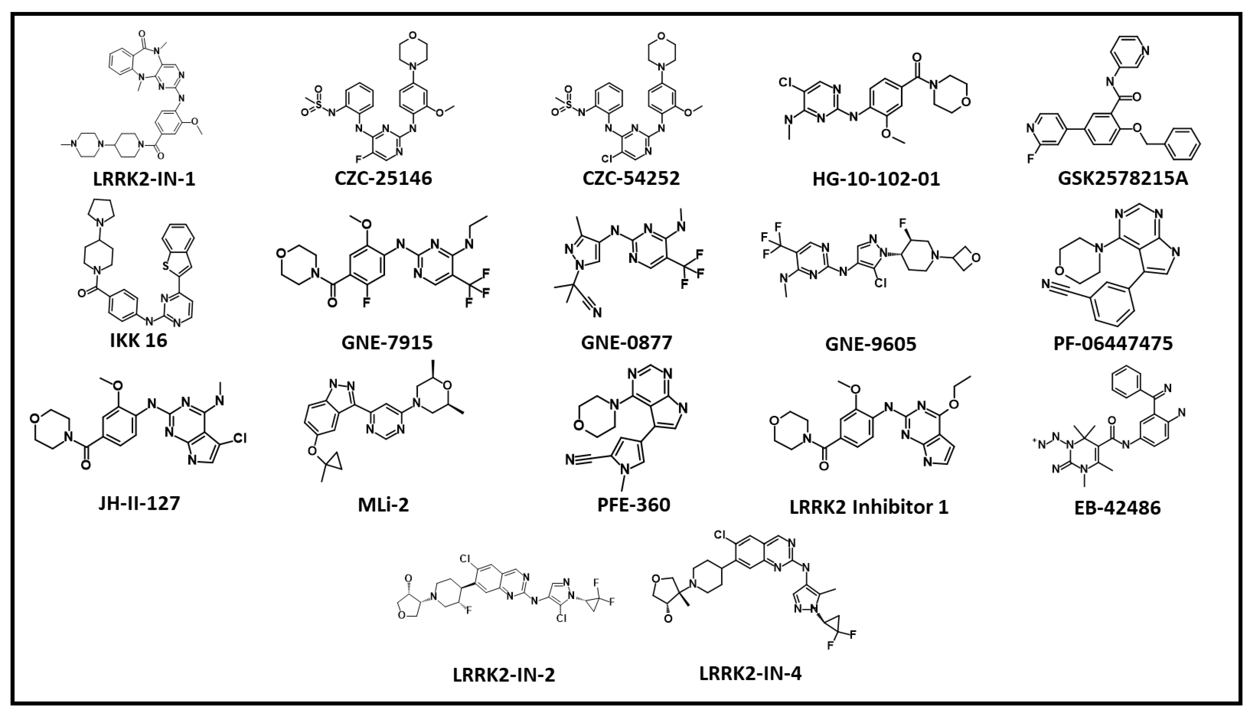 Genes 13 01426 g004 Genes 13 01426 g004