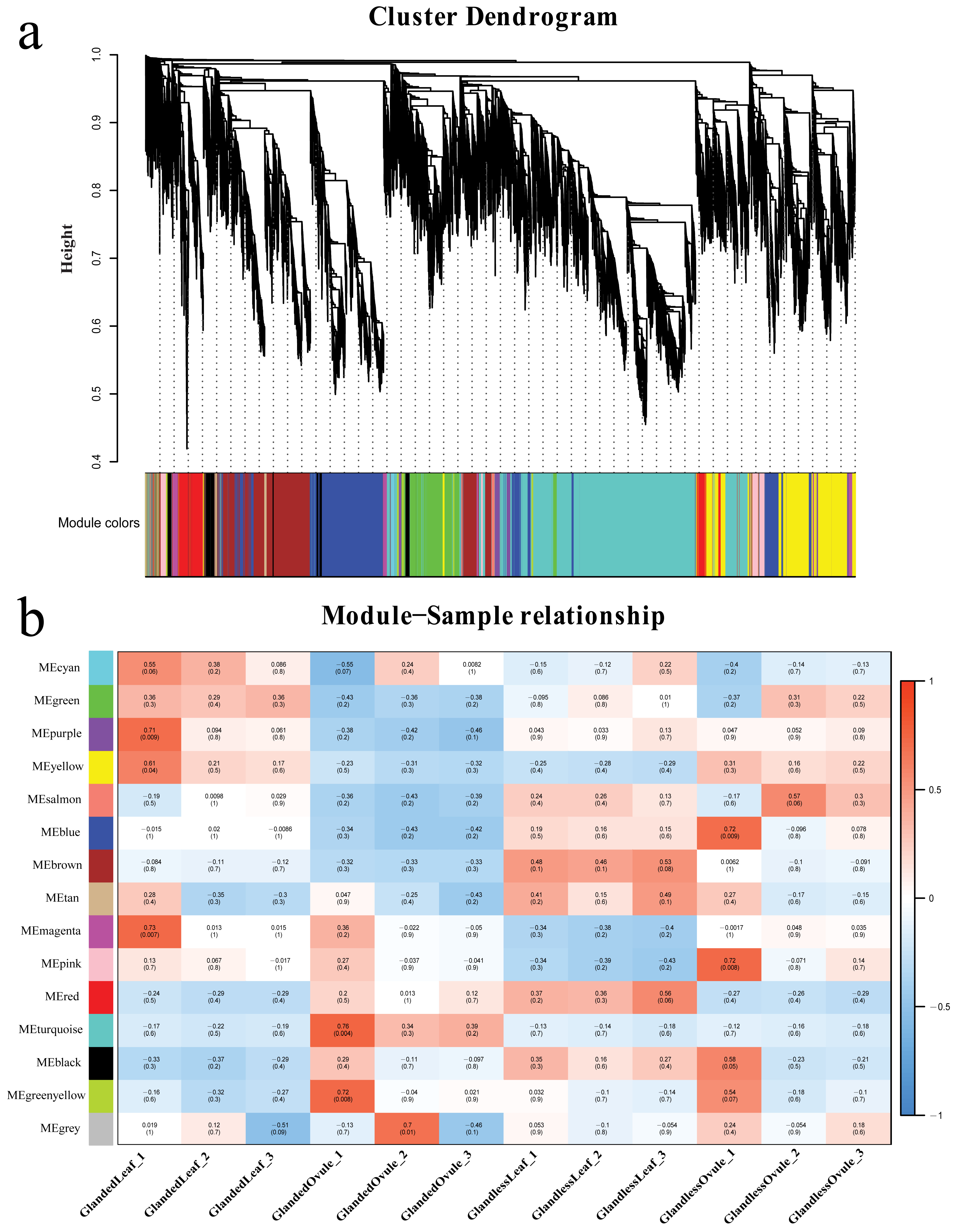 Genes 13 01452 g009