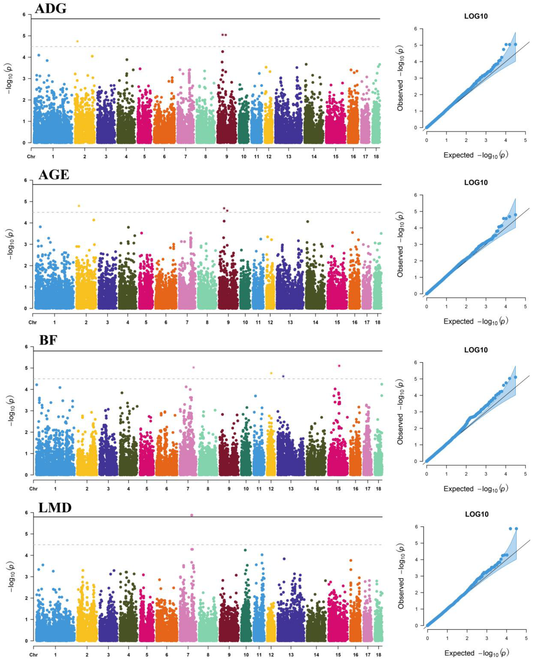 Genes 13 01454 g001 Genes 13 01454 g001