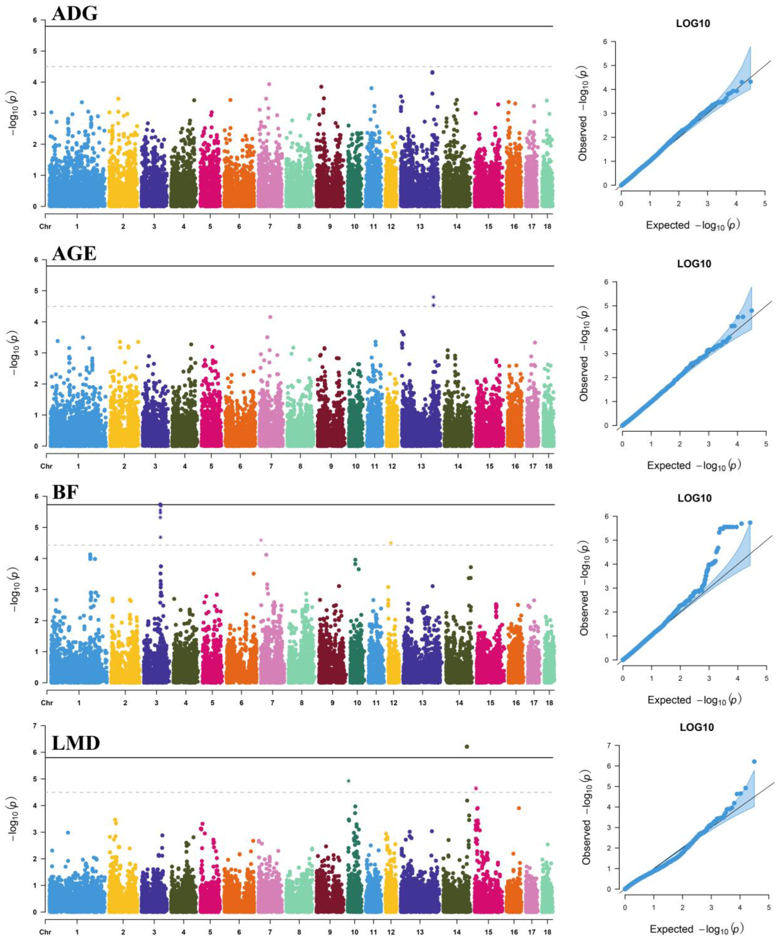 Genes 13 01454 g002 Genes 13 01454 g002